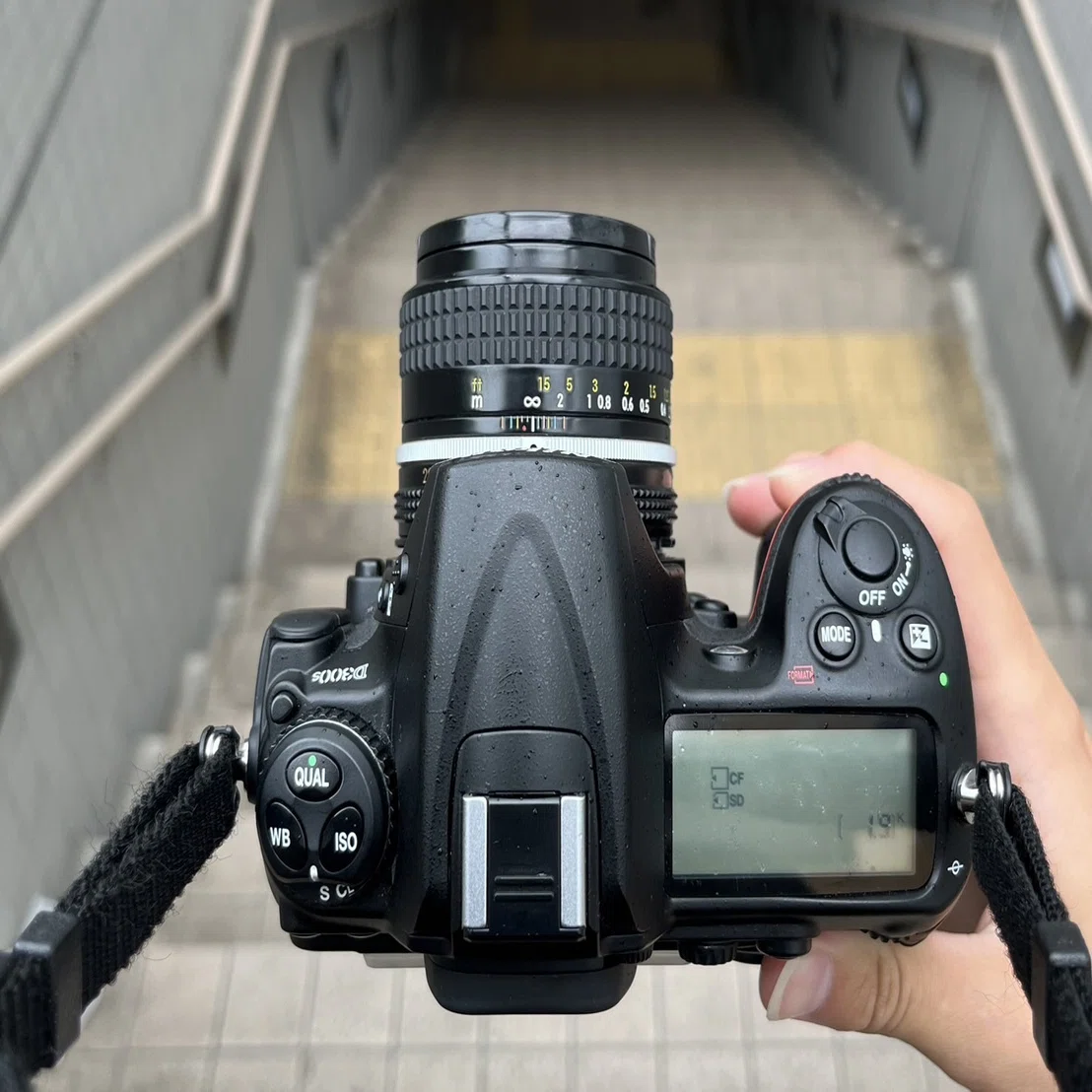 Nikon D300S｜硝子窓