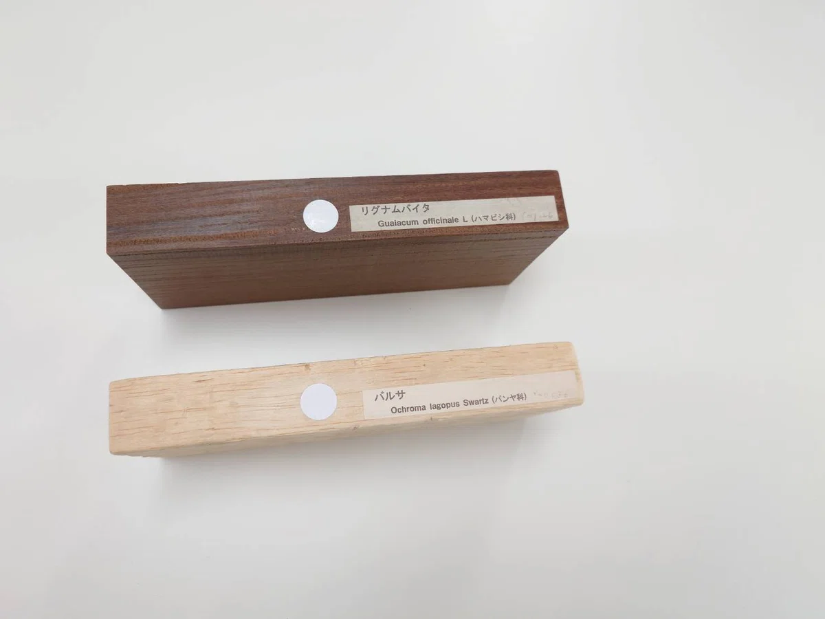 板材 リグナムバイタ家具 新木場の木材・合板博物館に エルビーシステム