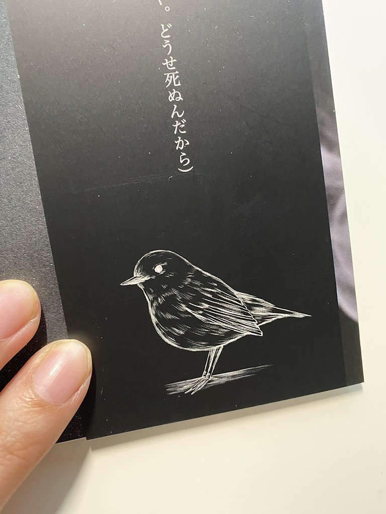 はじめての同人誌の装丁の話｜篠