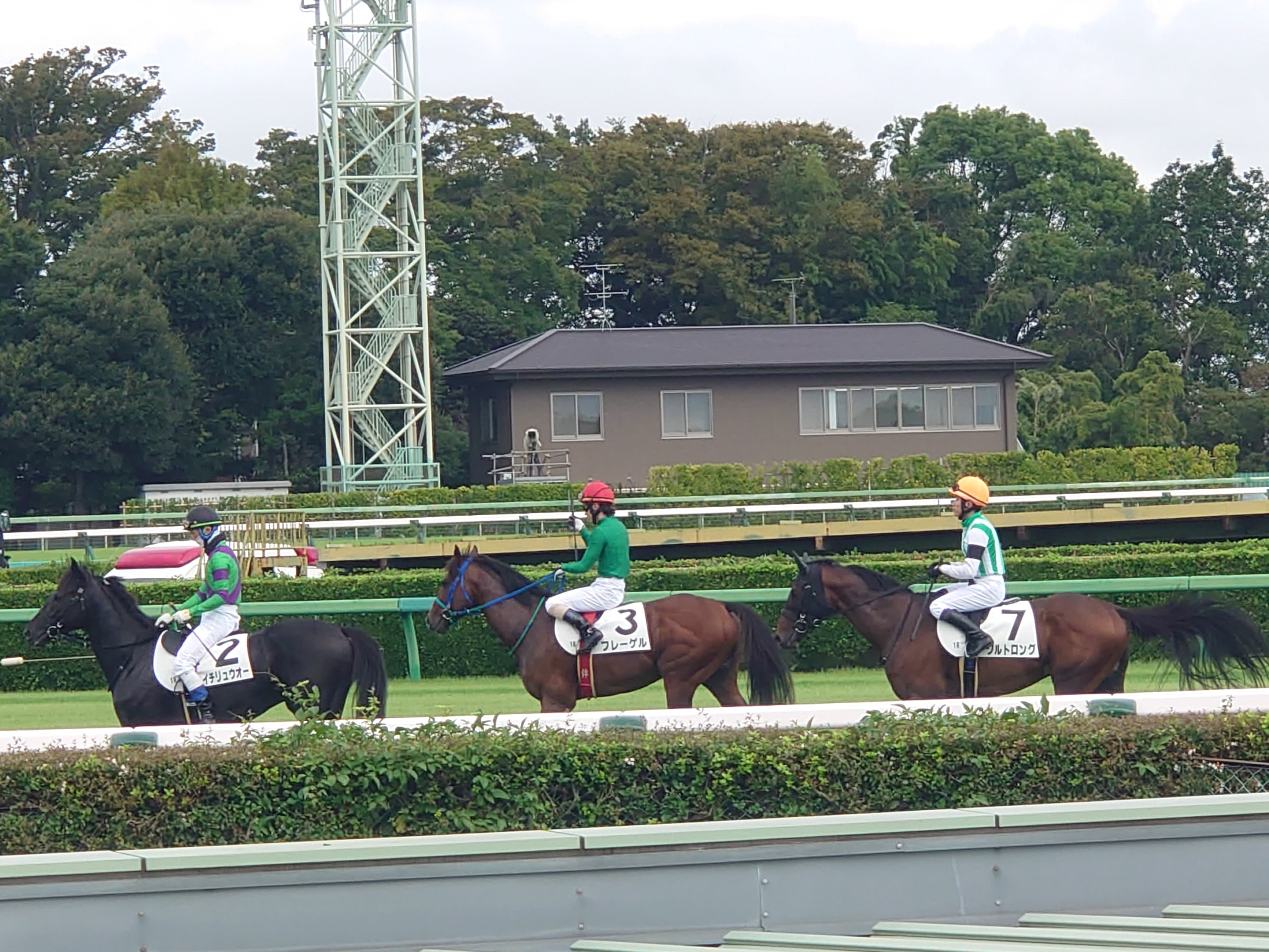 JRAアニバーサリーデーの収穫｜horseracing lover