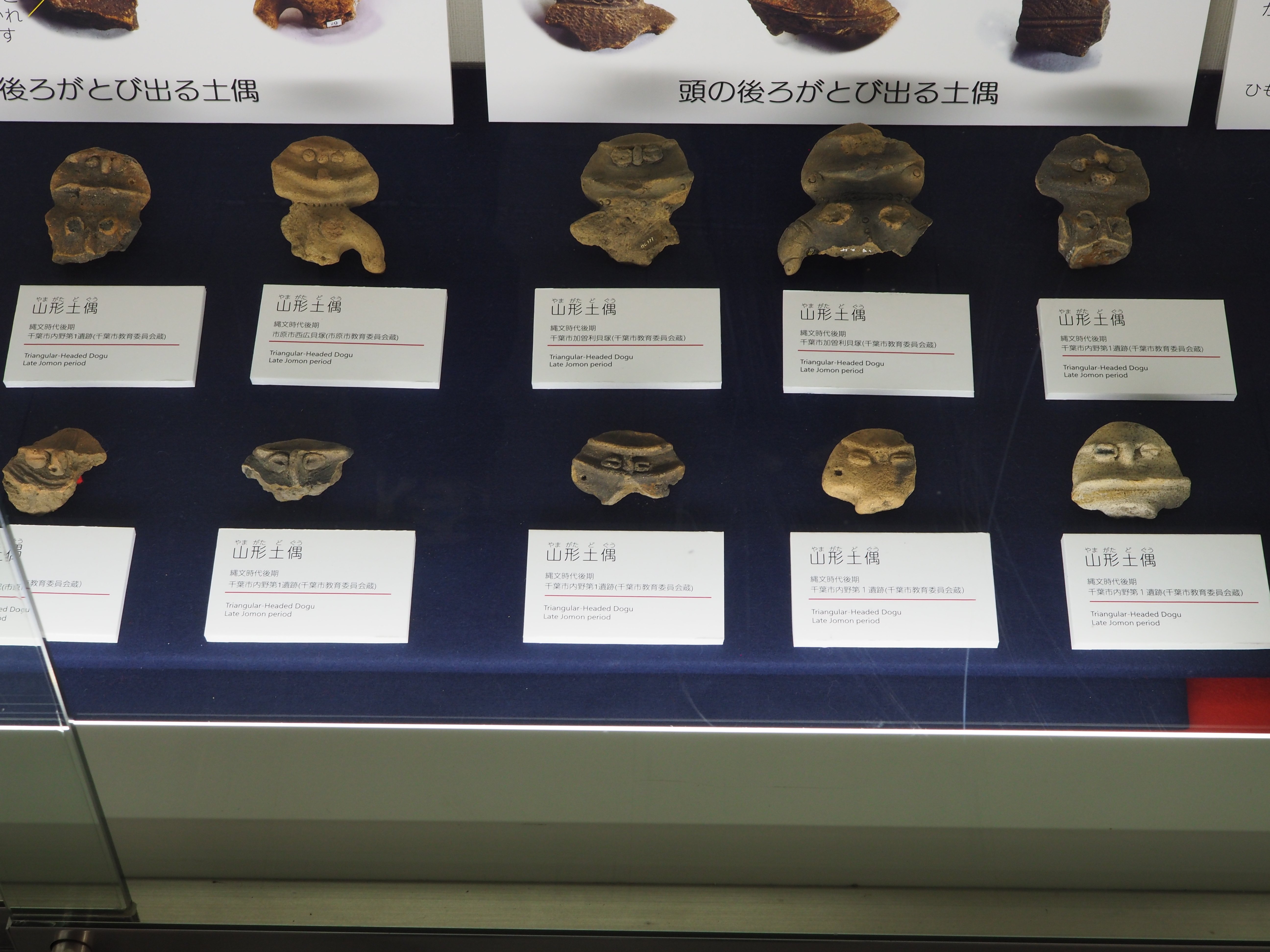 千葉市：千葉市立加曽利貝塚博物館