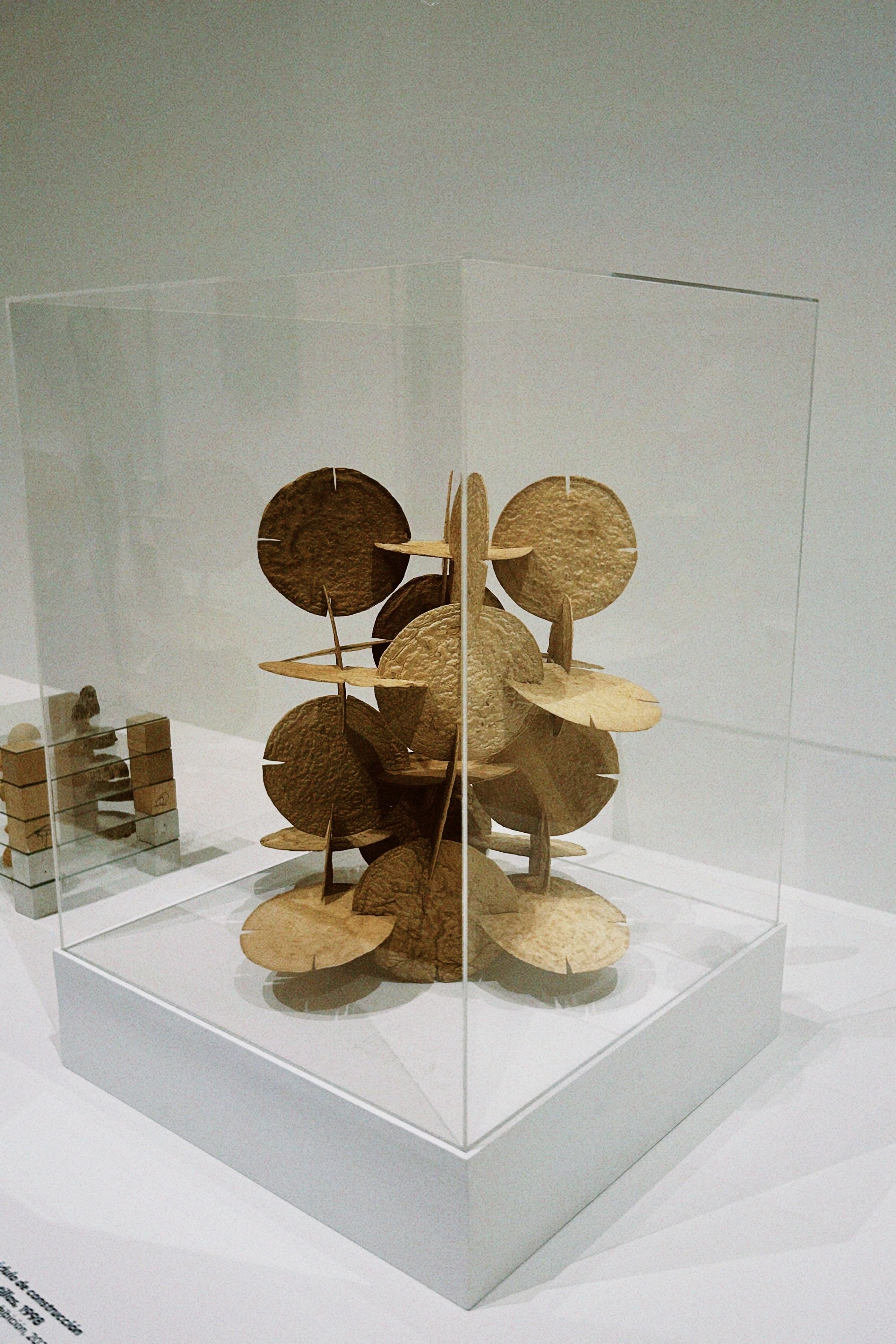 メキシコ市民のアートに対する姿勢とは(メキシコシティ)｜maryo｜世界旅