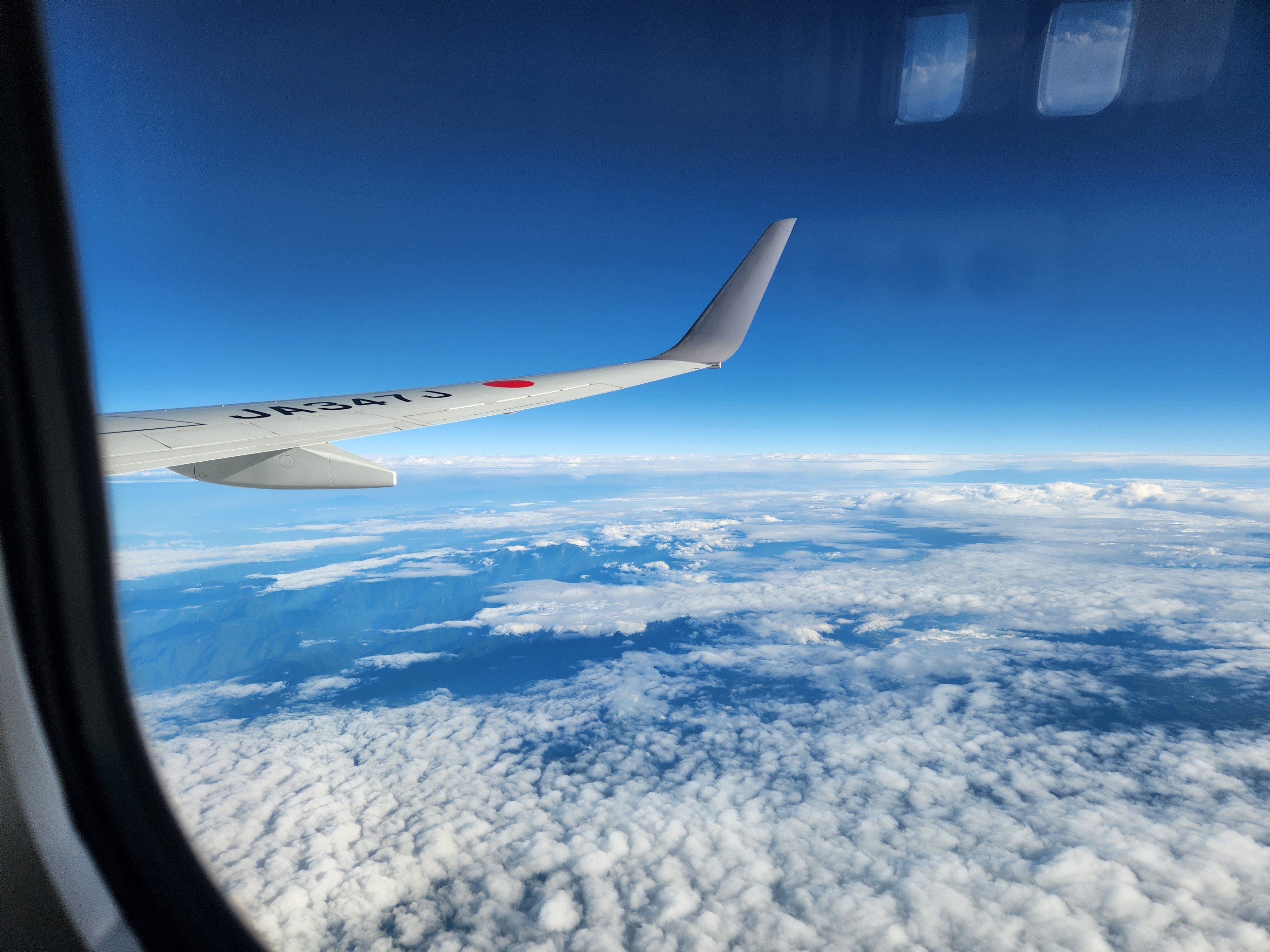 H19K77a 鹿児島県屋久杉 座卓 屋久島 旅日記 1日目｜坂上