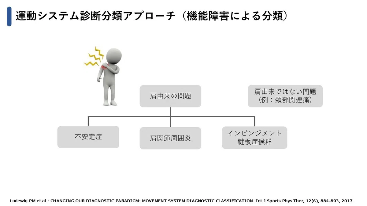 (#26) Changing the Diagnostic Paradigm: A Proposal for Movement System ...