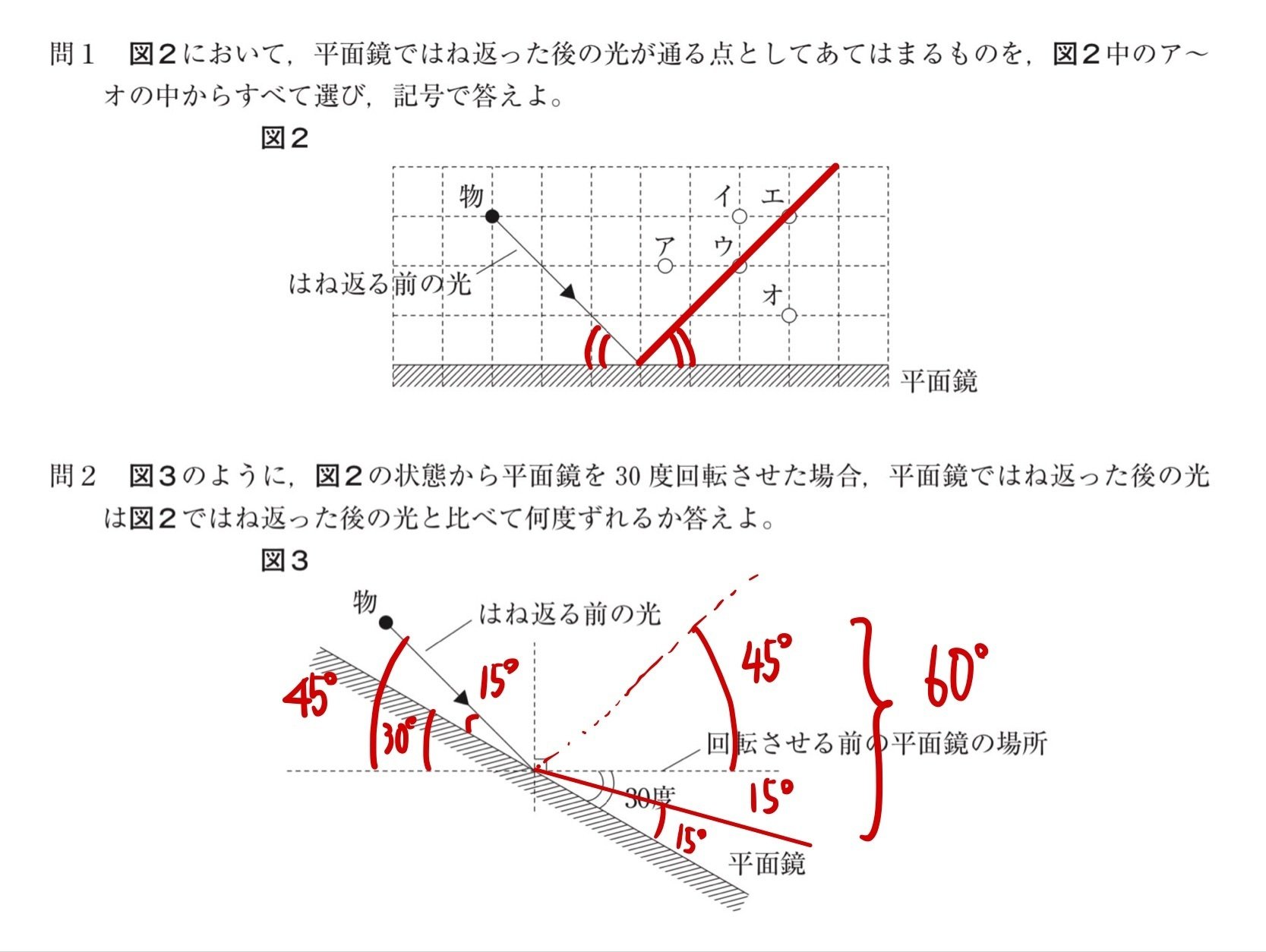 早稲田佐賀中2024（令和6年）理科の解答と大雑把な解説と難度