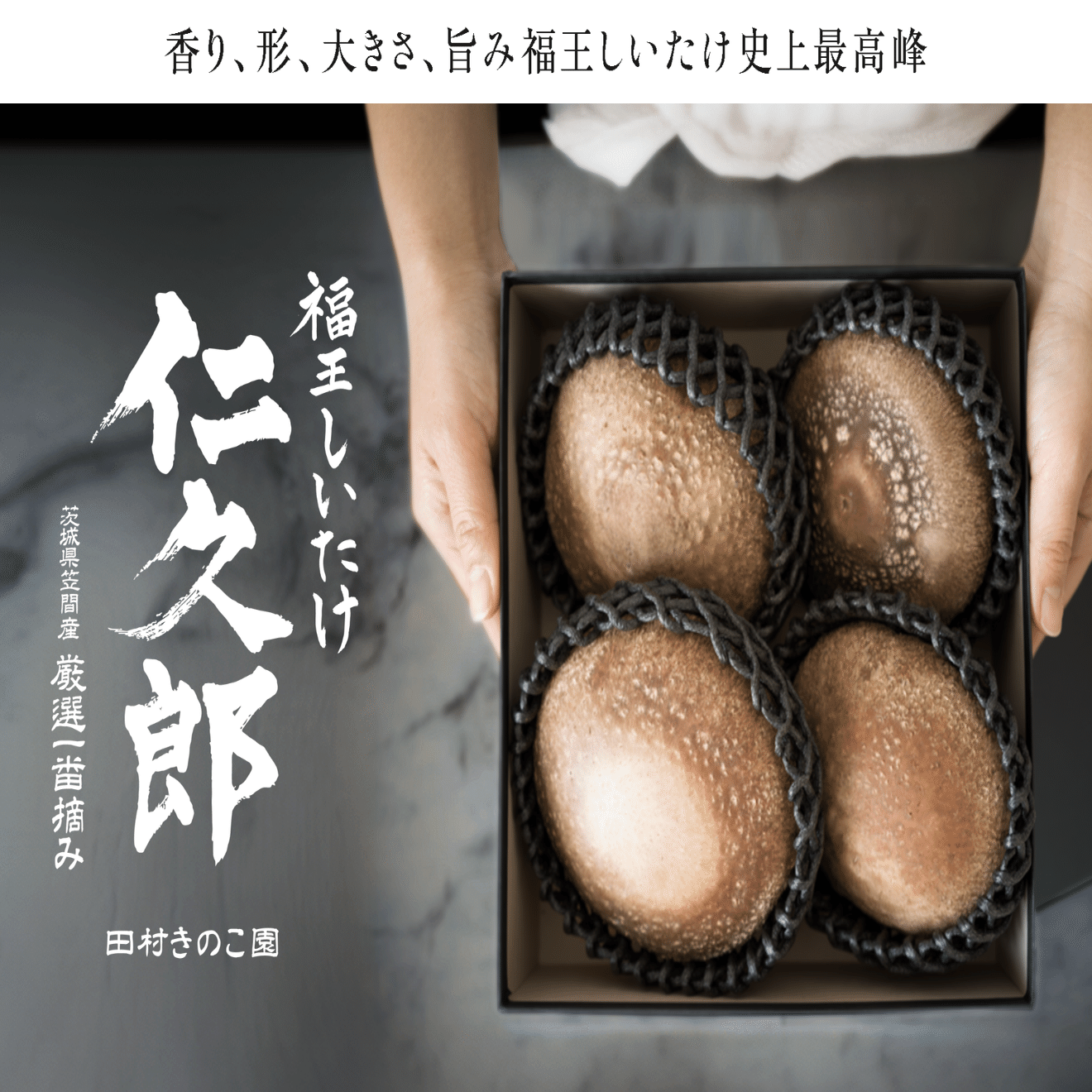 小さなきのこ農家が新商品「仁久郎」を発売するまでの道のり｜川島ひらく