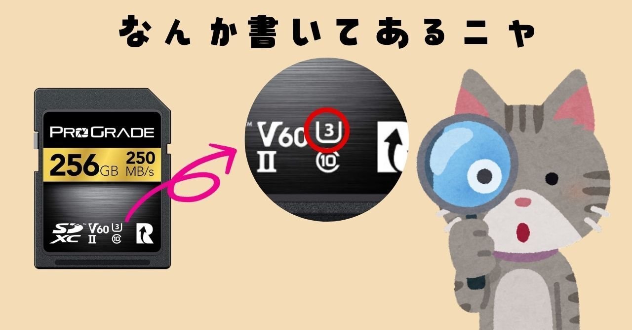 SDカード選び】一眼カメラで写真・動画を撮る方向け【SONY α7rⅤ