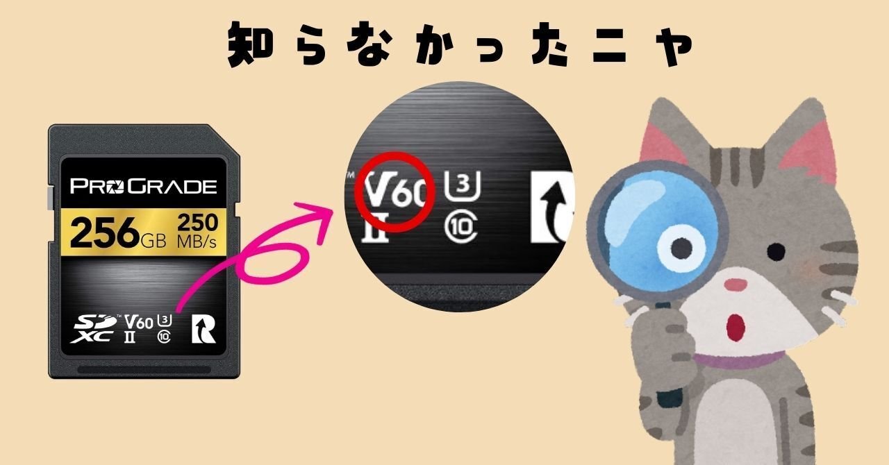 α7RV(美品)+SDカード2枚同梱 SDカード選び】一眼カメラで写真・動画を撮る方向け【SONY α7rⅤ