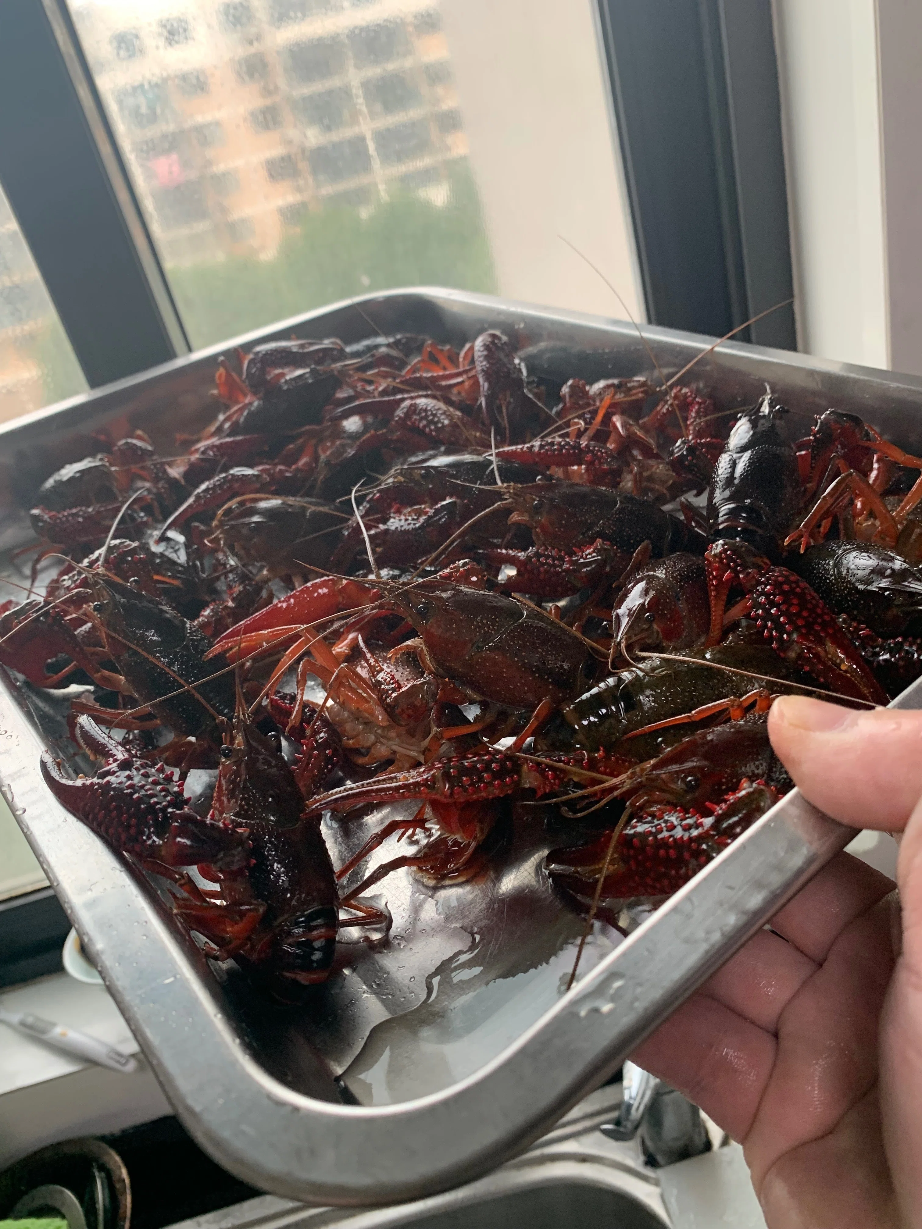料理の旅人 再現中華2】 香辣小龙虾 xiang la xiao long xia