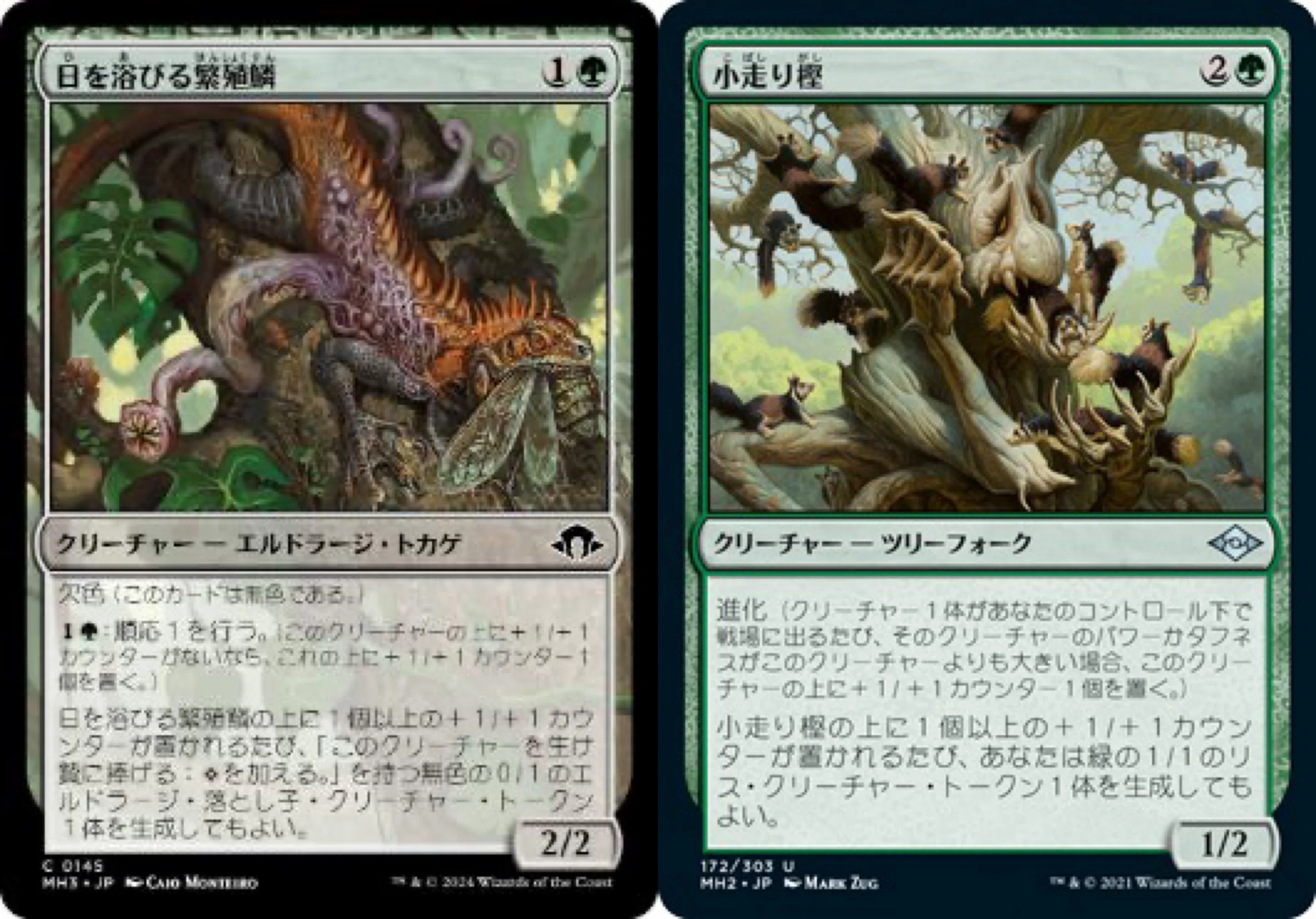 EDH【腕利きの射手、フィニアス】100枚解説｜出島