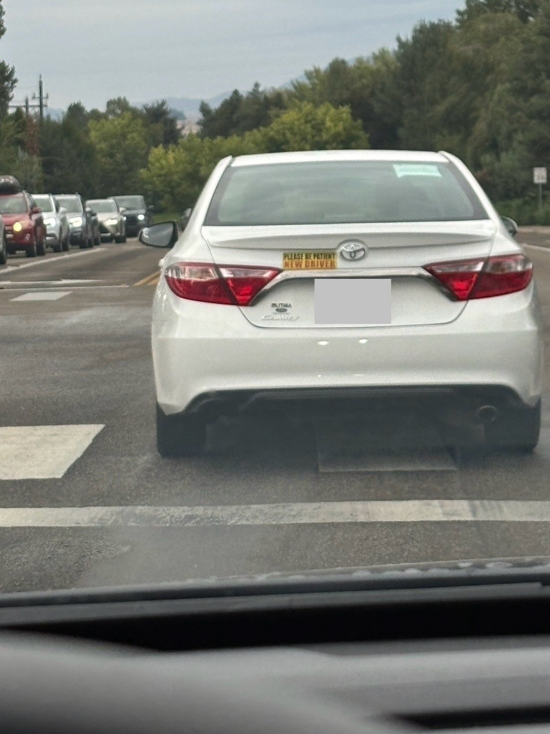 アメリカダイアリー#14】アメリカの初心者マーク｜たいらブログ