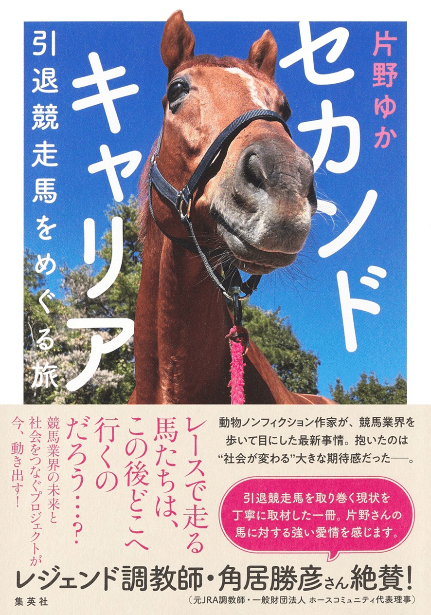 前編】引退競走馬支援ワールドの最前線に潜入?! 世界の競馬開催国