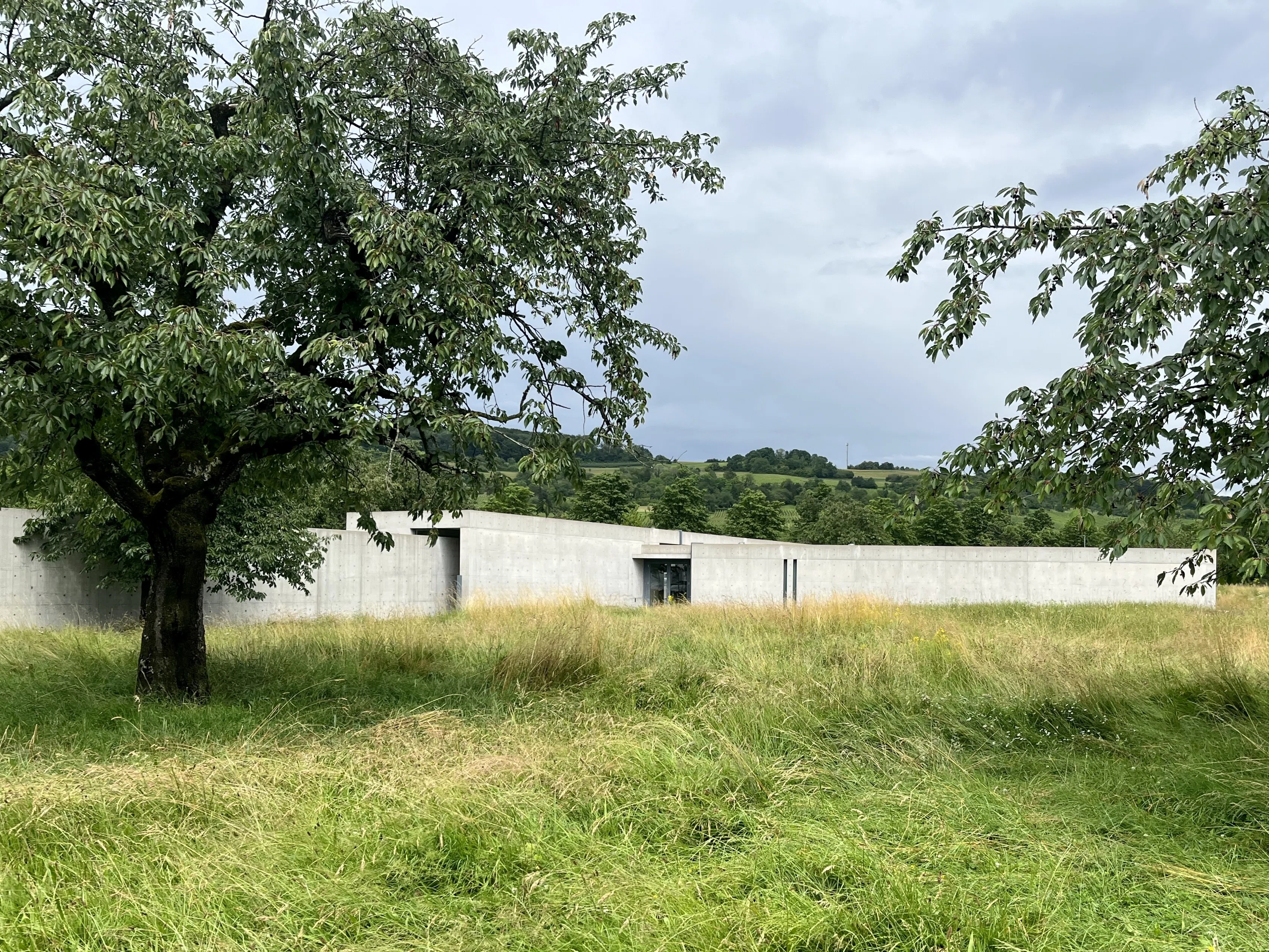 スイスで見つけたデザインのヒント – vitra campus｜TRAIL HEADS