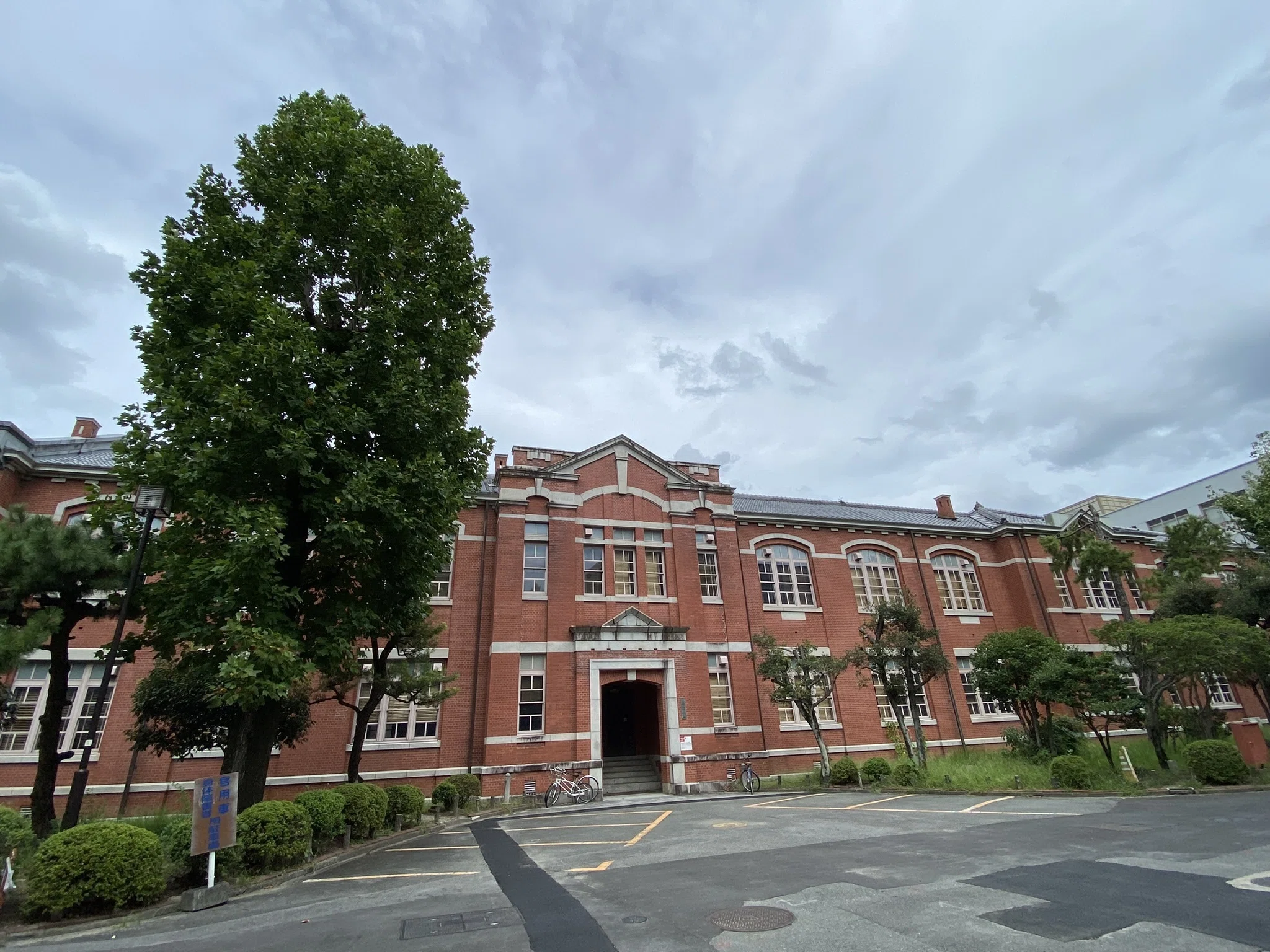 482 京都大学建築散歩。｜揺蕩う旅人・なお（ミヤコカエデ）