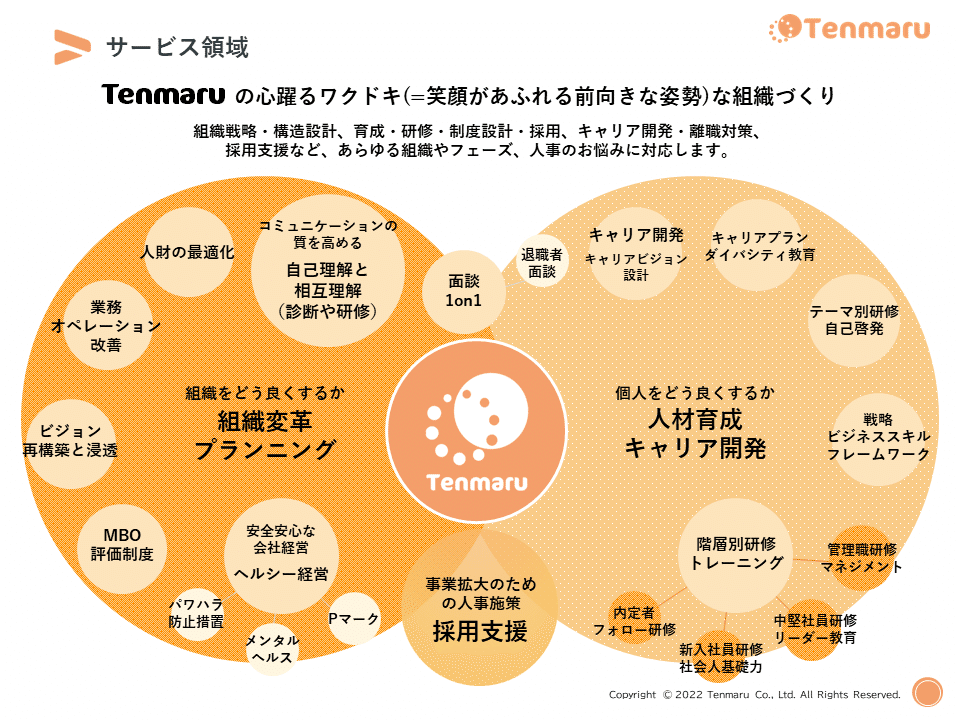 Tenmaruの事業