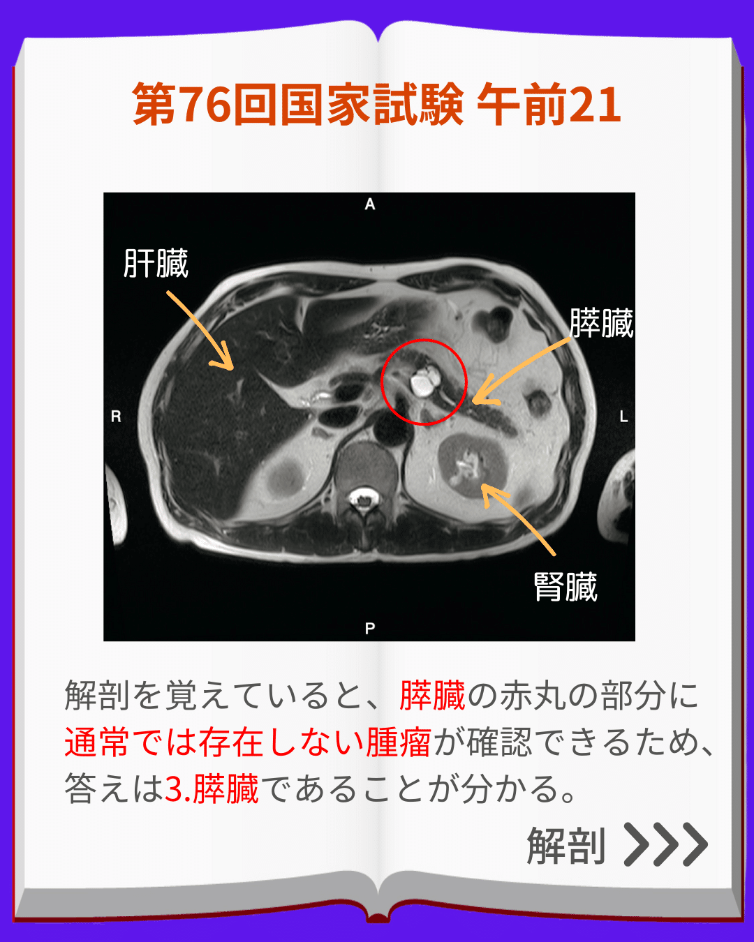 診療放射線技師国家試験本番形式模擬問題 午前編 語学・辞書