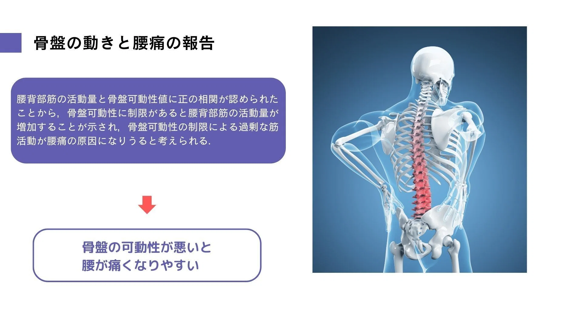 理学療法士はこう考える！前屈での腰痛に対する評価とエクササイズ選定