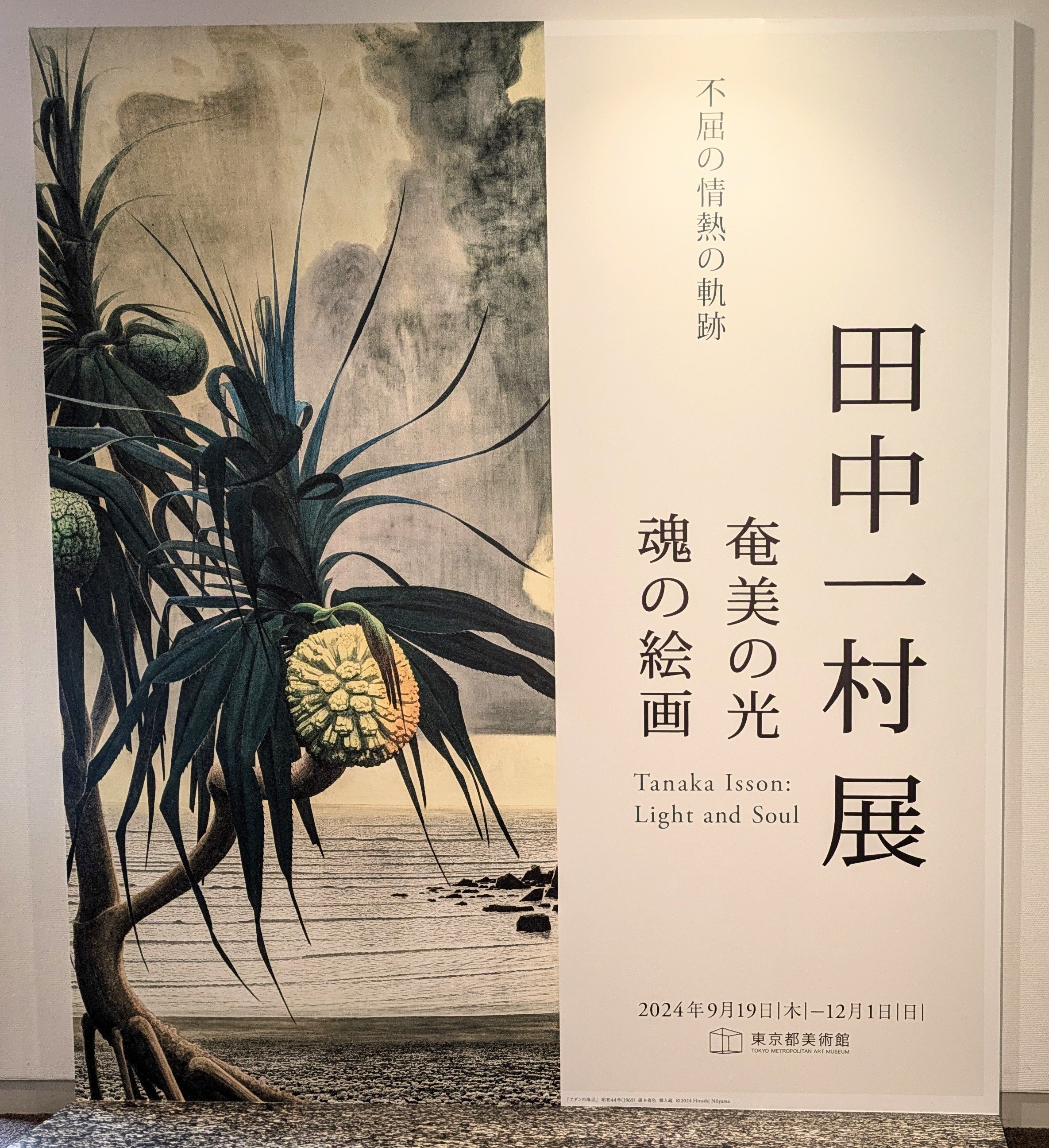 田中一村展「奄美の光 魂の絵画」｜白桃ゆめの