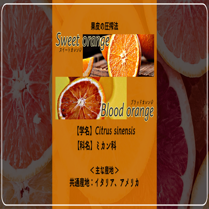 mf様　プラナロム オレンジスィート 他　合計8点　精油 mf様 プラナロム オレンジスィート 他 合計8点 精油 mf様プラナロム