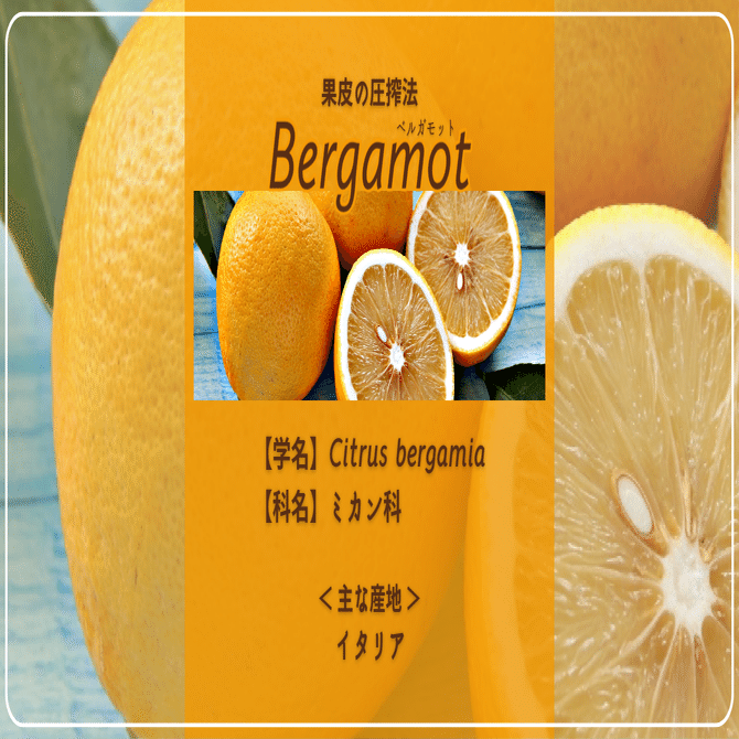 ベルガモット】”癒しの柑橘香”アロマ暮らし薬剤師の精油note｜あき