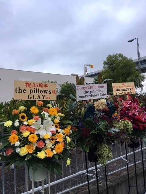 ライブレポート】the pillows『the pillows 35th Anniversary