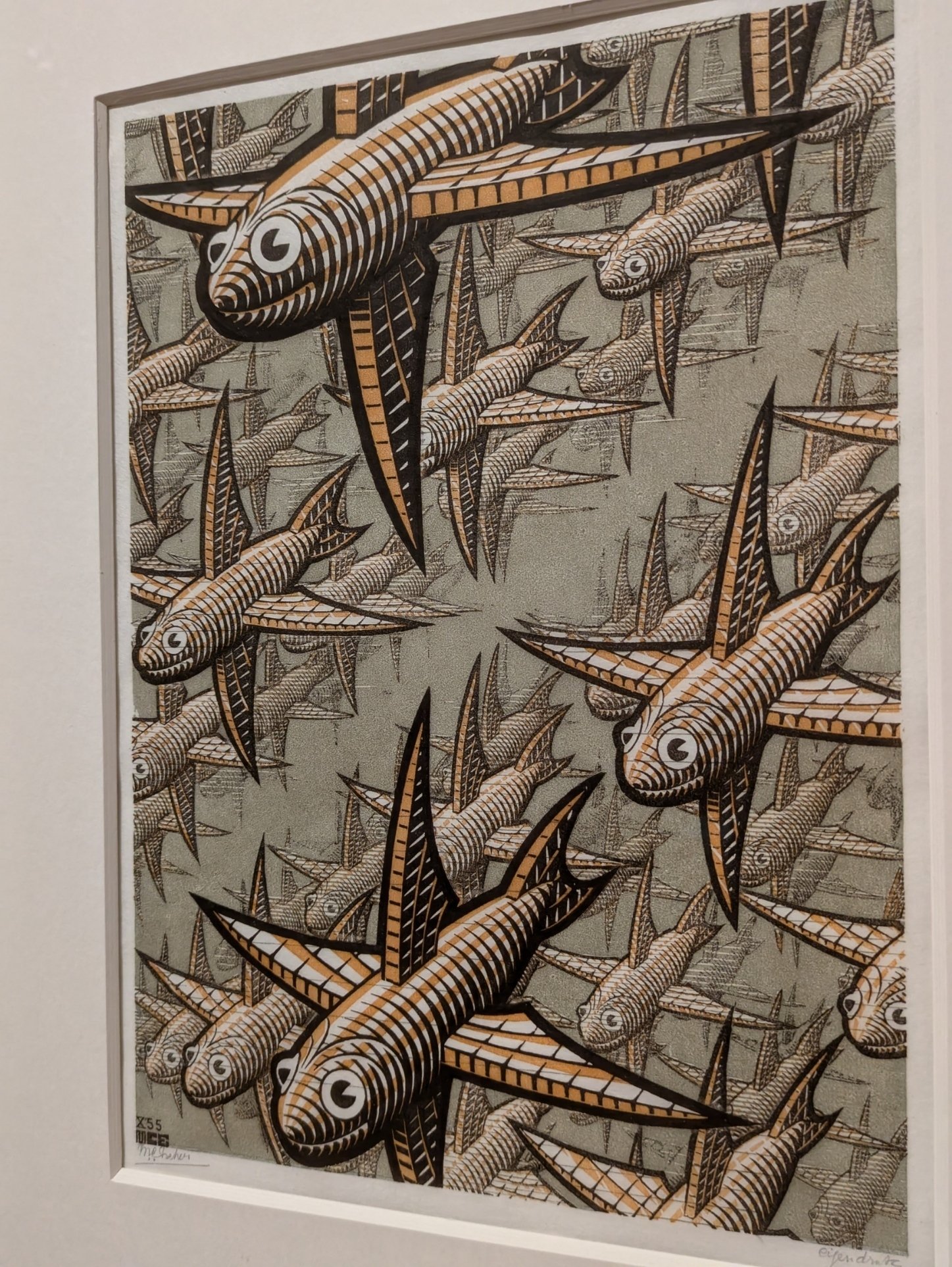 水彩画 生物細密画「ベニイシガニを襲うトラフグ」 真作