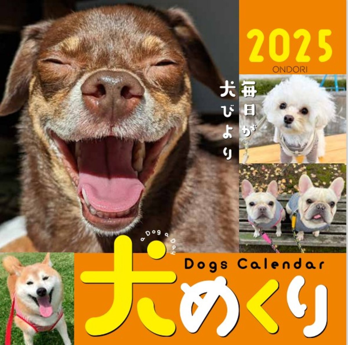 Dogs Calendar　犬めくり2025―毎日が、犬びより