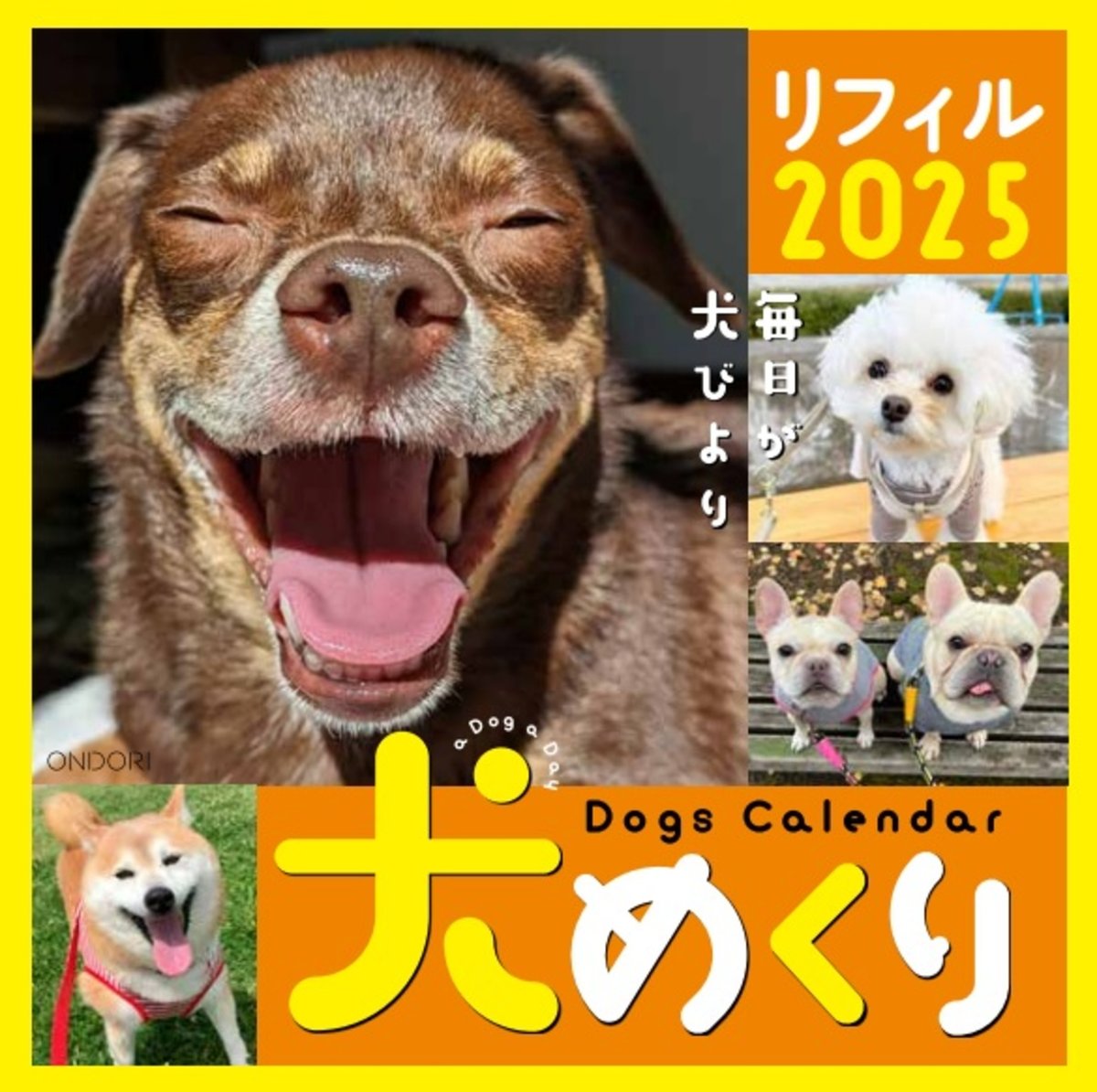 Dogs Calendar　犬めくり　リフィル2025―毎日が、犬びより