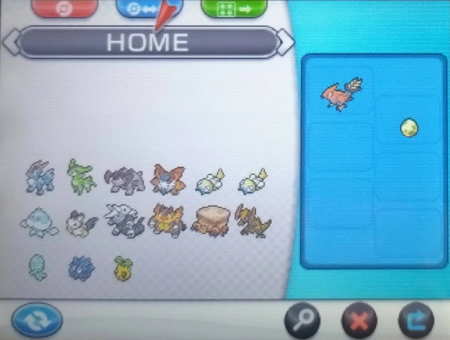 ポケモン】DS作品のポケモンを未来へ移送する｜ココマイ
