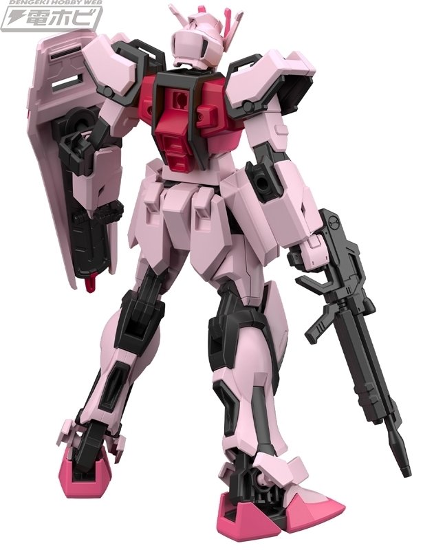 HG ズゴックSEED & MG ガンダムヴィダール 2点セット 楽天ブックスにて