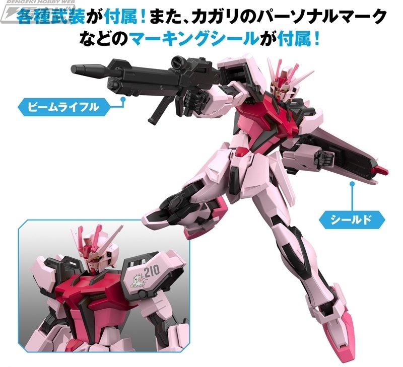MG ガンダムヴィダール」「HG ズゴック(SEED FREEDOM Ver MG ガンダムヴィダール」「HG ズゴック(SEED FREEDOM Ver