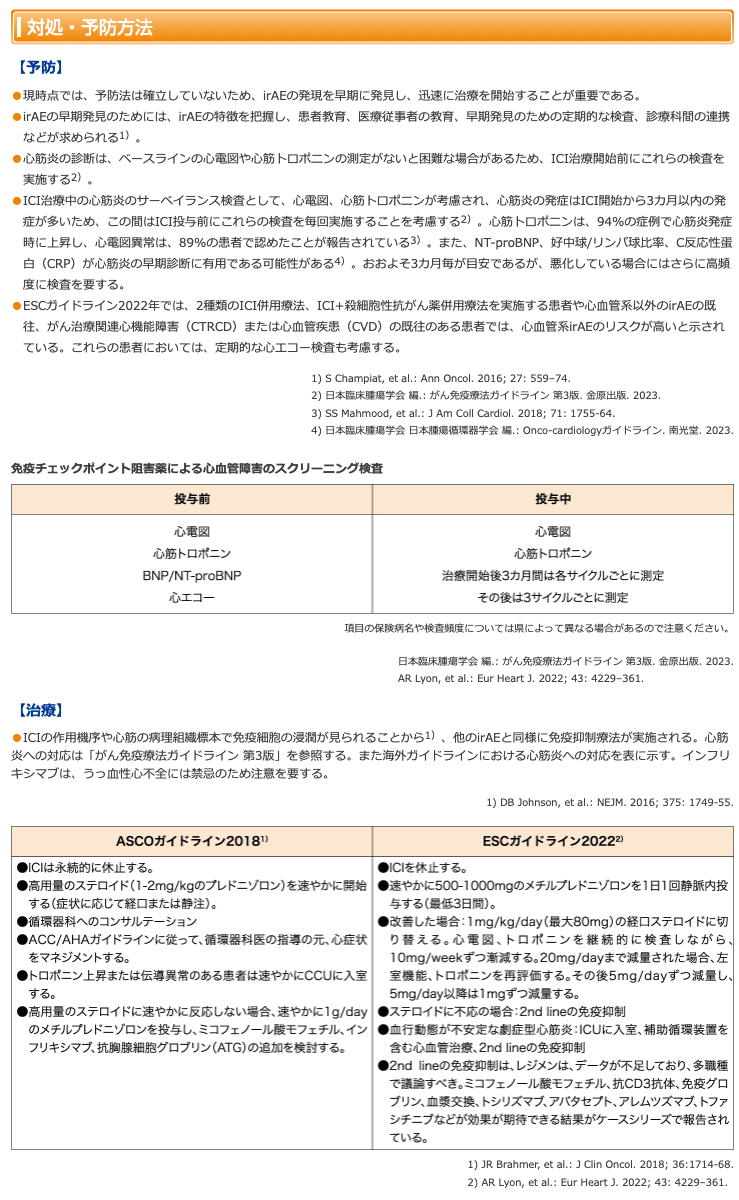 内科学会セルトレ問題からの学び2024年｜まっつん先生