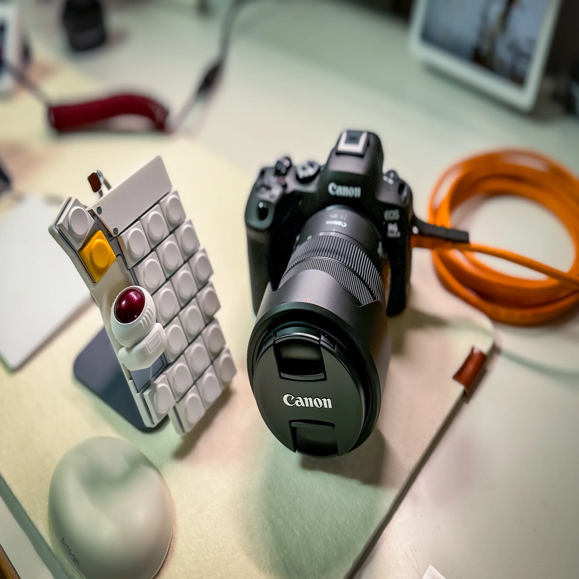 EOS R6 Mark II がやってきた｜しょっさん