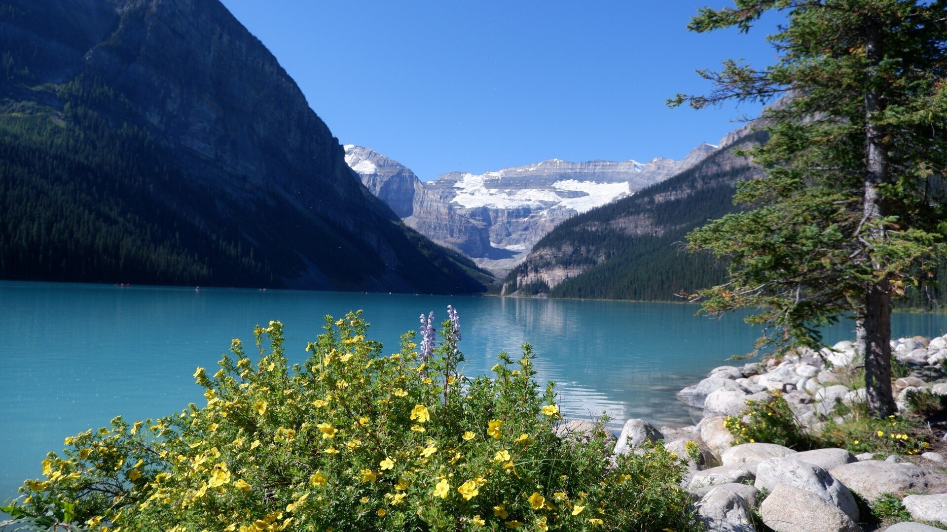 絵画　John Greco 作 LAKE Louise カナダ レイク・ルイーズ カナディアンロッキーの宝石「レイクルイーズ」 - 北海道留学