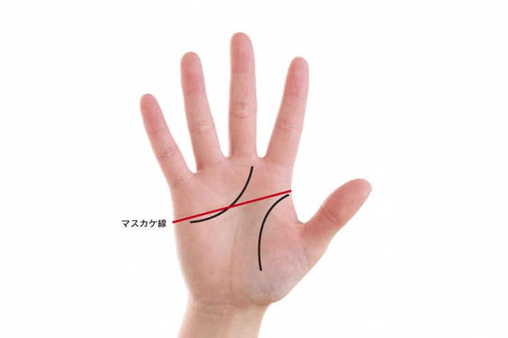 専用のページになります。手相鑑定 手相占い徹底解説！｜彩希ともさん