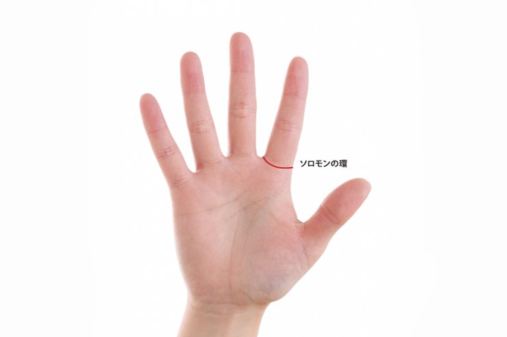 専用のページになります。手相鑑定 手相の事典 & 究極の手相 セット（龍雲の手相鑑定(幸福の未来へ