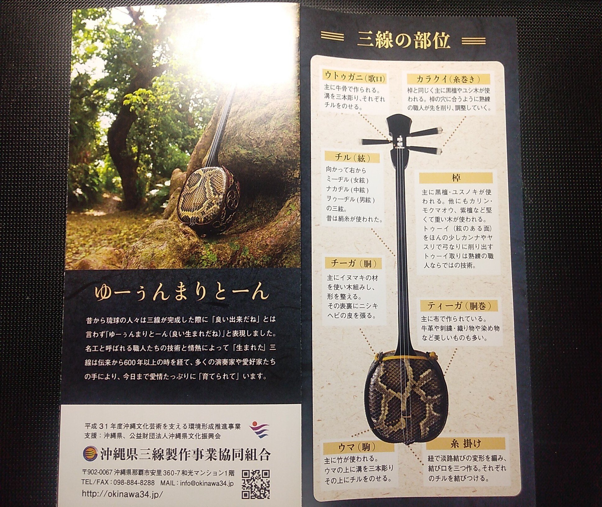 三線 青空 ハイビス