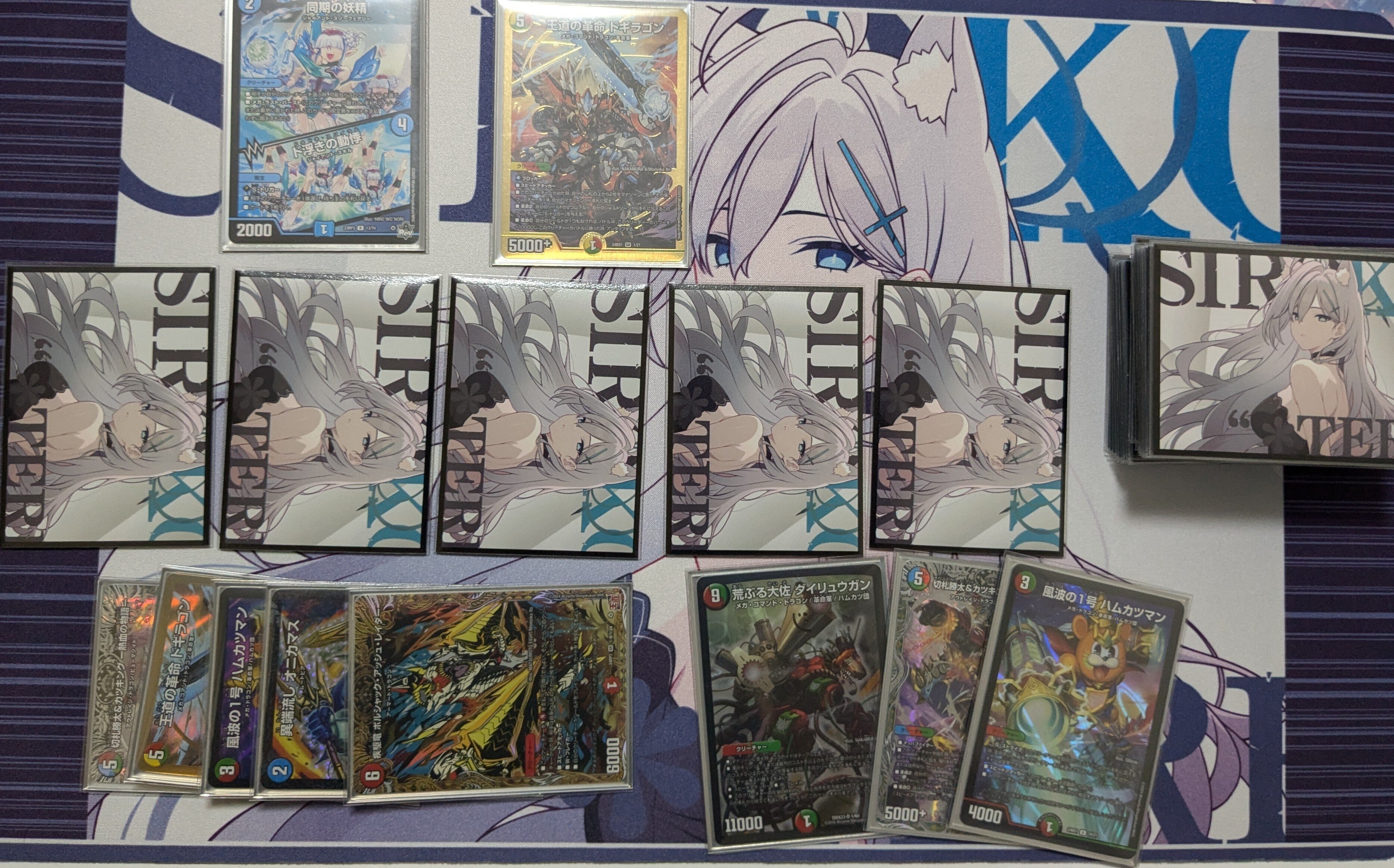 ベスト16】新弾発売当日にボルシャックアッシュレイダーでCS出て ベスト16】新弾発売当日にボルシャックアッシュレイダーでCS出て