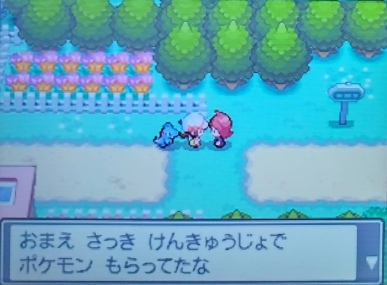 Meetページ HG、SSケースなし1点ずつ 希望ポケモン追加 Meetページ HG、SSケースなし1点ずつ 希望ポケモン追加 専用ページ HG