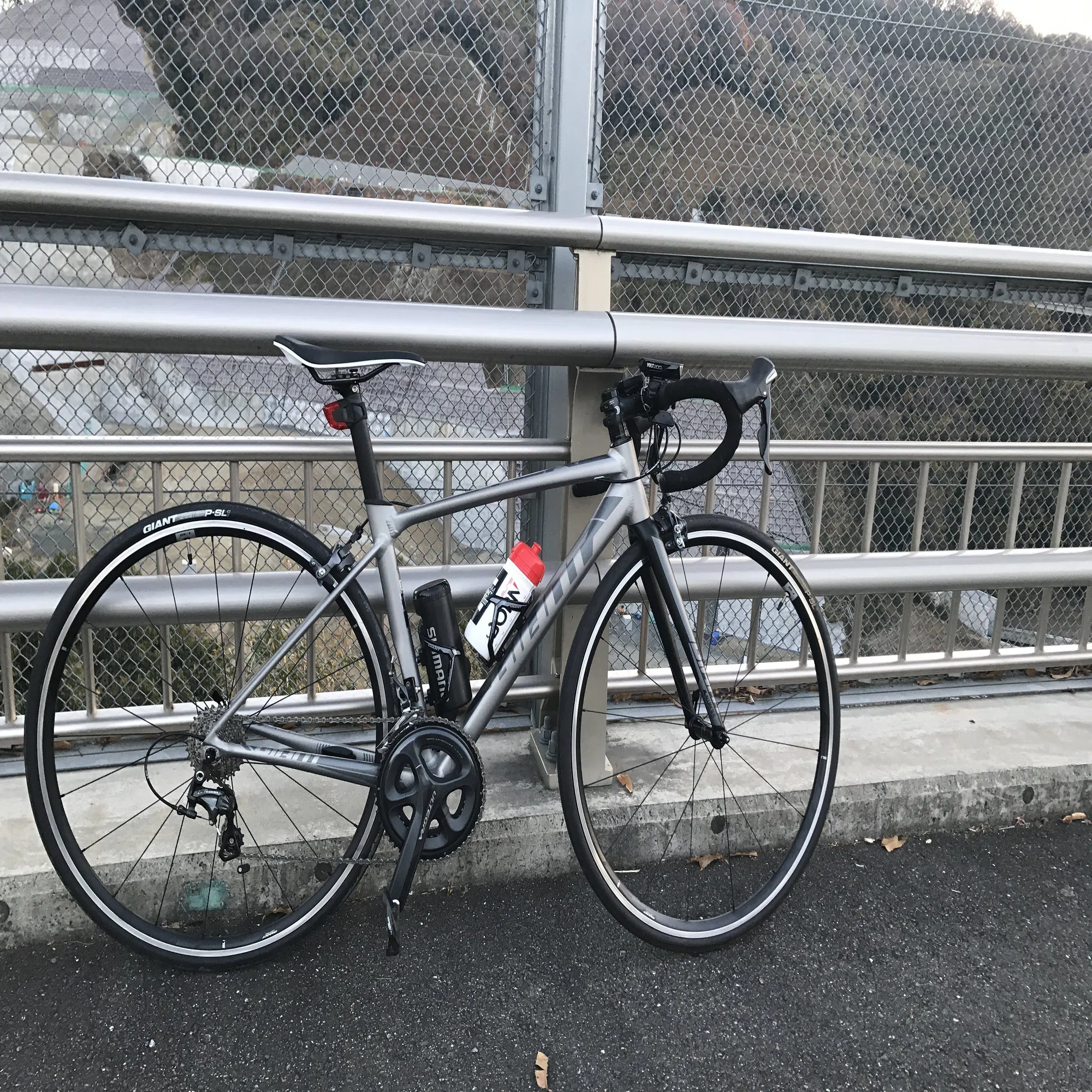 私と愛車の物語 その17 GIANT TCR SLR1 2017｜アンジー
