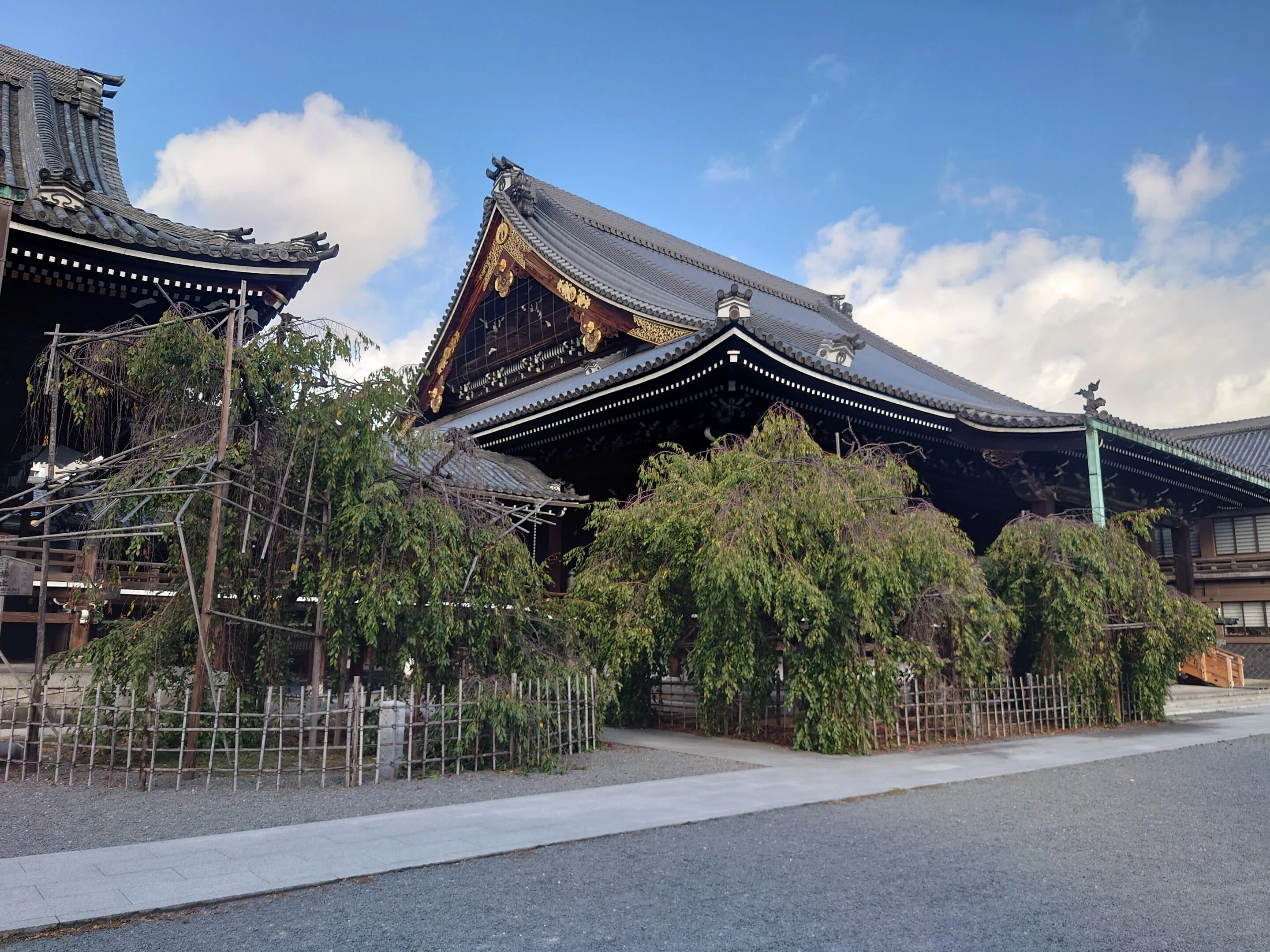京都市 本山佛光寺2024年9月20日｜レタス