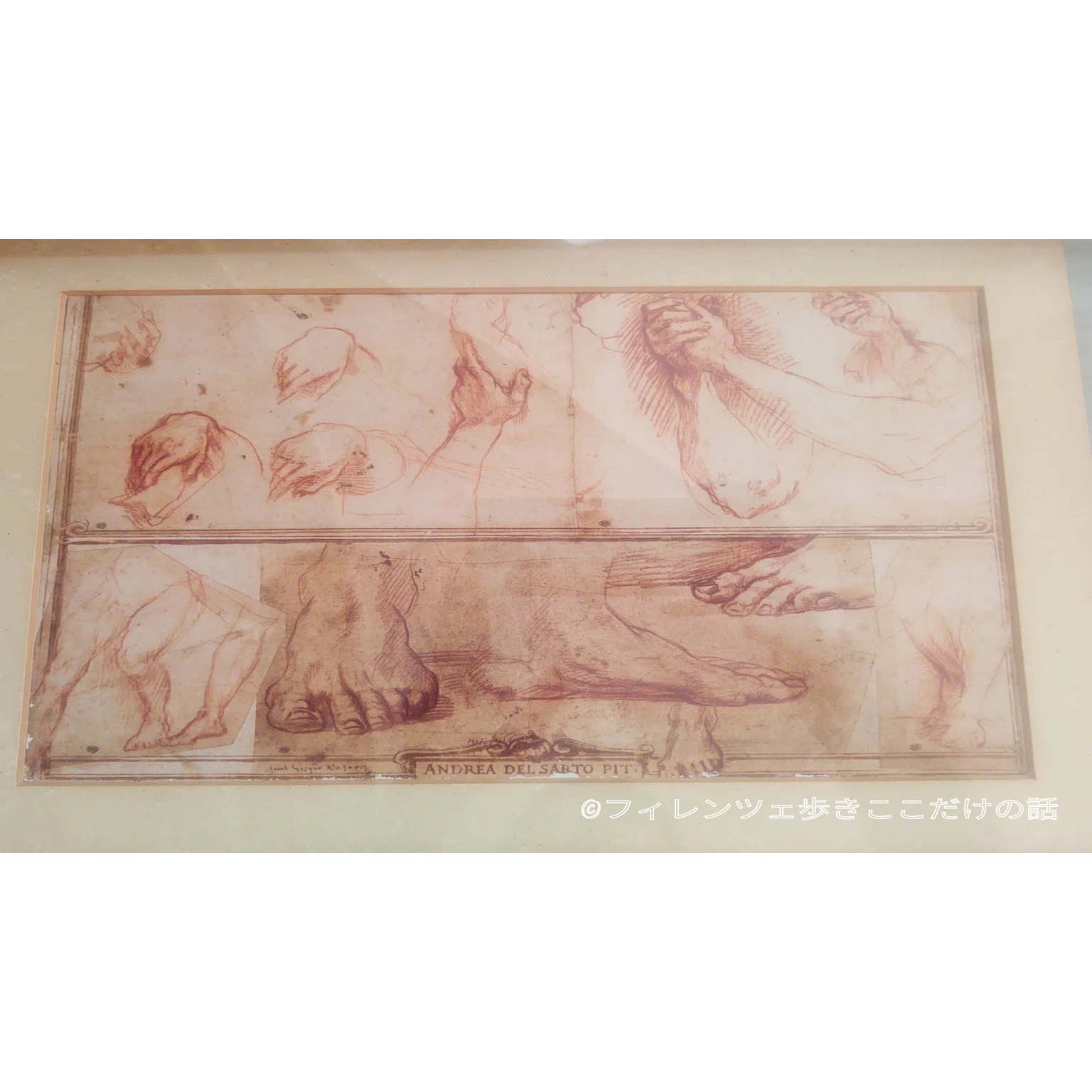 完璧」と謳われたルネッサンスの画家｜フィレンツェ歩き ここだけの話