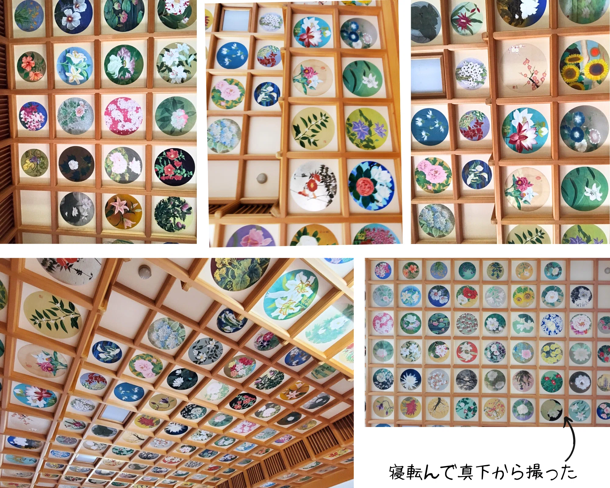 聖徳太子誕生の地「橘寺」・明日香村に遺されたもの⑤｜千世（ちせ）
