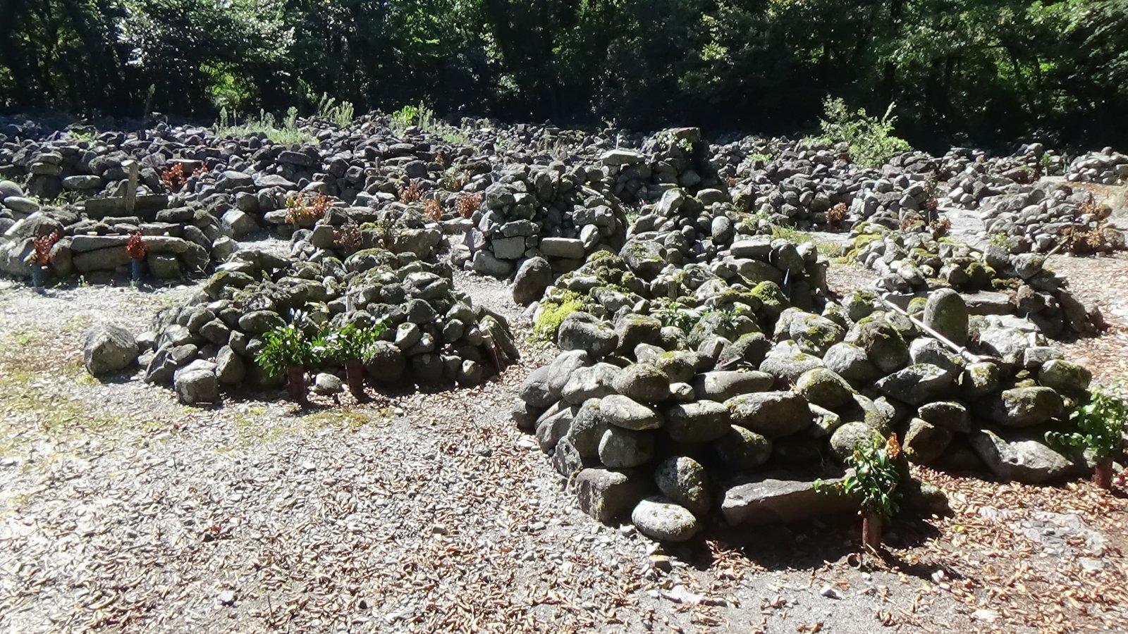 鈑戸の埋め墓 【霊峰大山のふもとの両墓制・1】｜Yuniko note