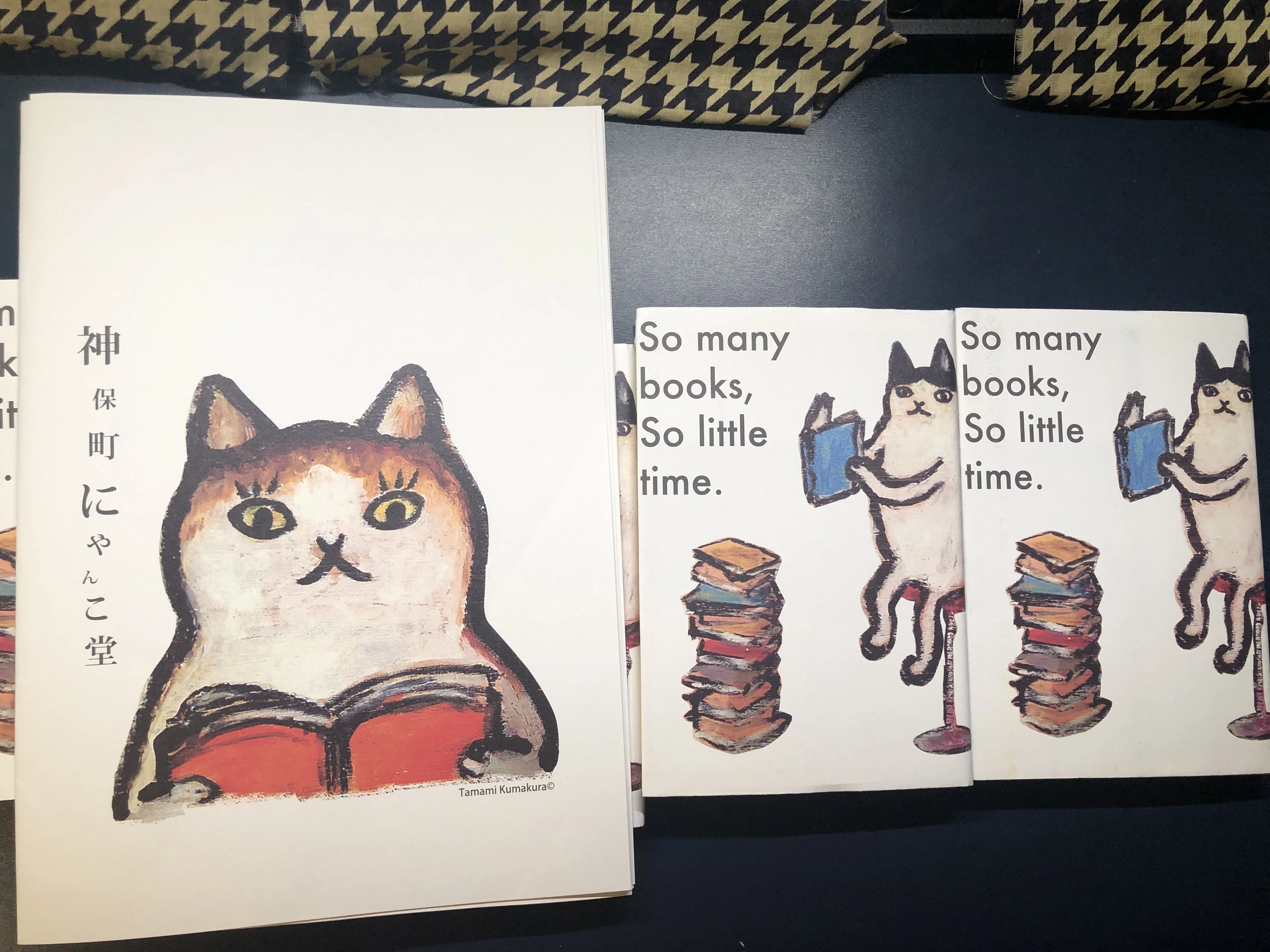 猫本専門のあの本屋さんを紹介しましょう！猫本専門 神保町にゃんこ堂