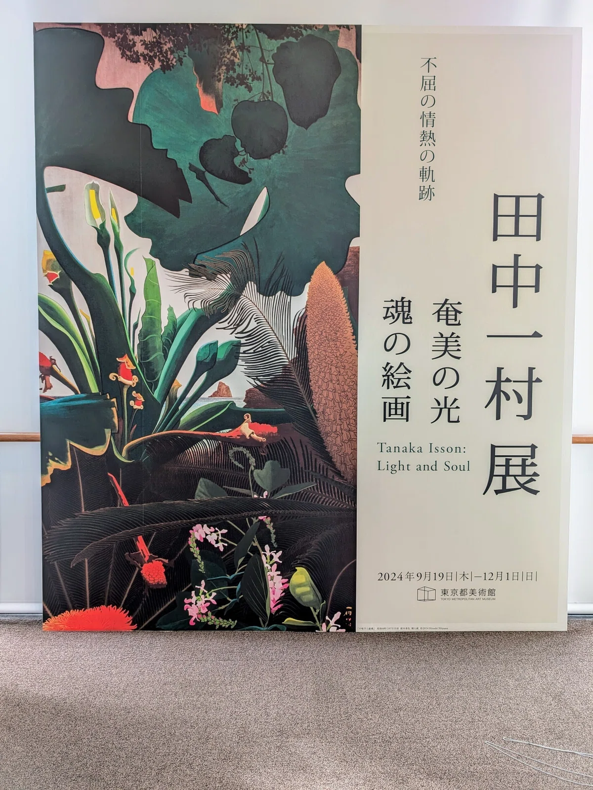 田中一村展 奄美の光 魂の絵画(東京都美術館)|少佐のノオト