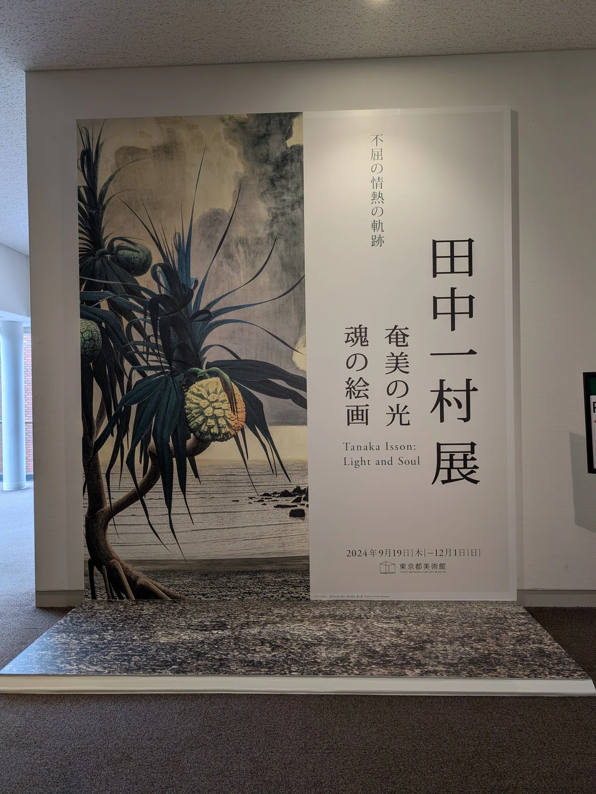 田中一村展 奄美の光 魂の絵画(東京都美術館)|少佐のノオト