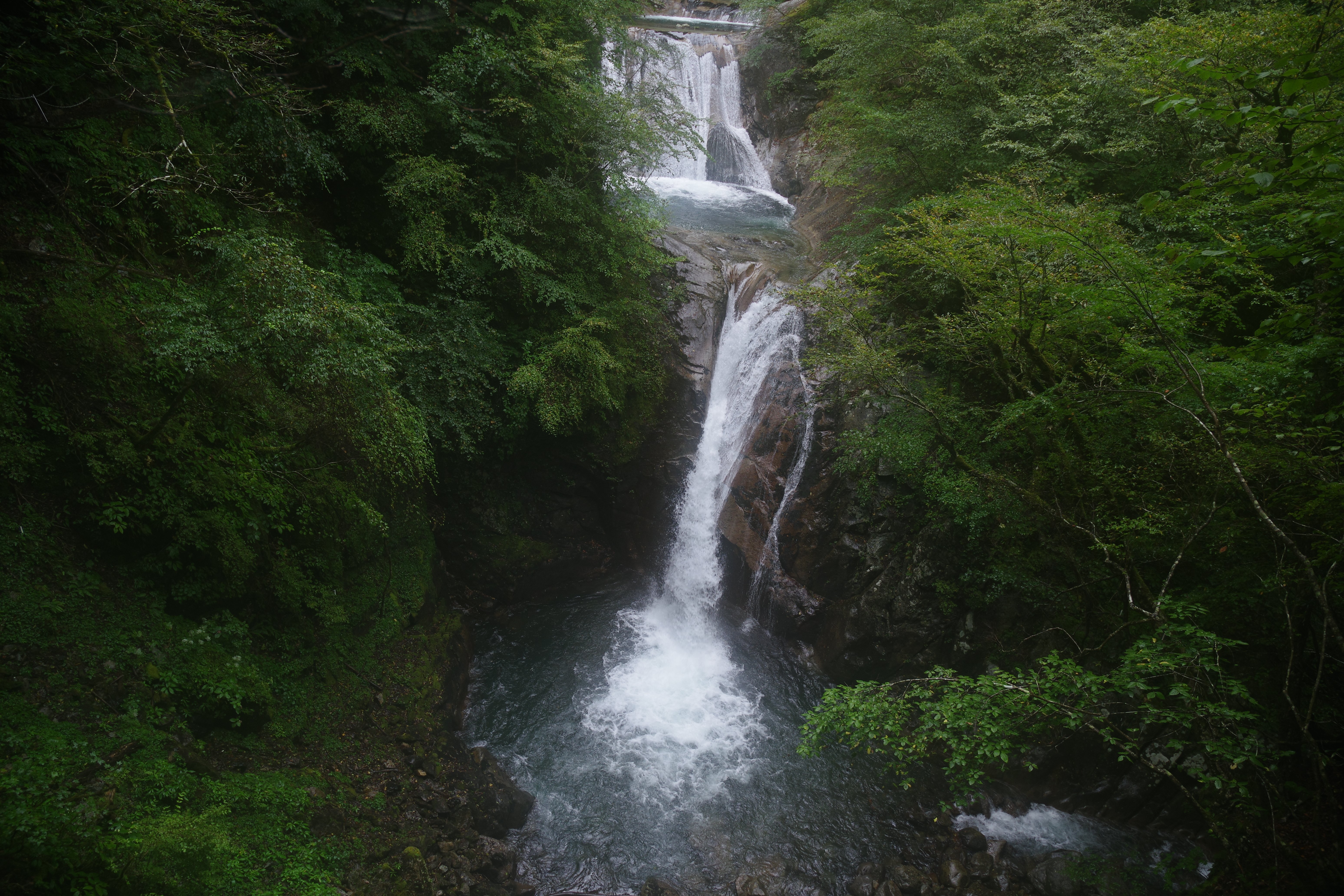 溢れかえる岸辺 4枚 楽天市場】ミニチュア 置物 飾りフィギュア かえる 盆景 蛙（かえる