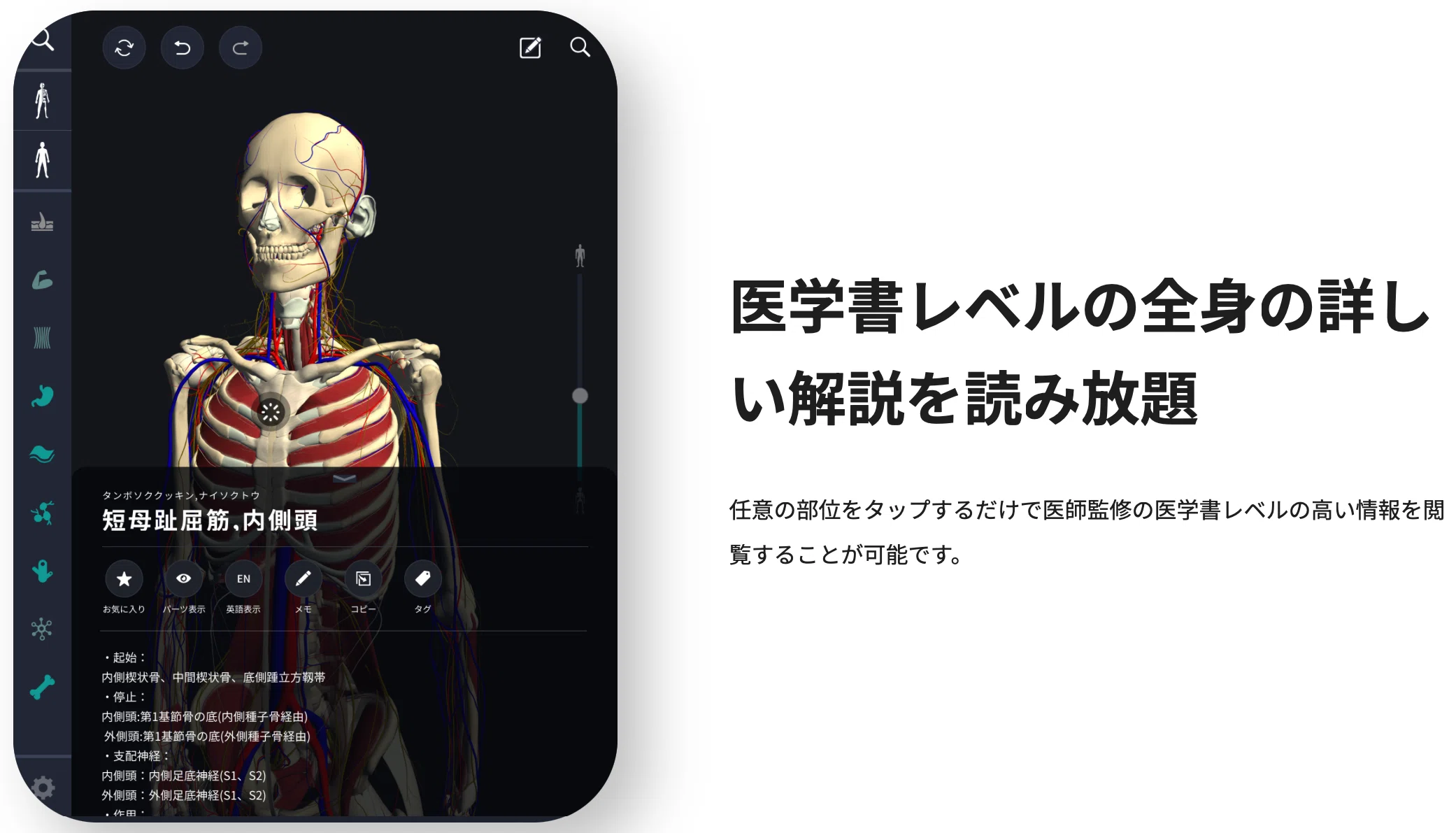 teamLabBody 医学書レベルの詳しい解説