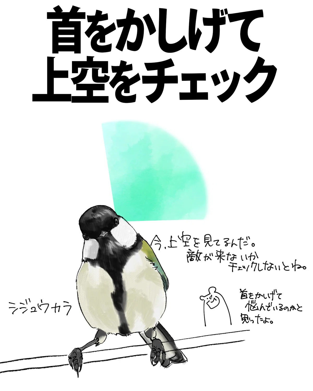 鳥が首を傾げる理由｜くますけ｜自然ガイド・クリエイター